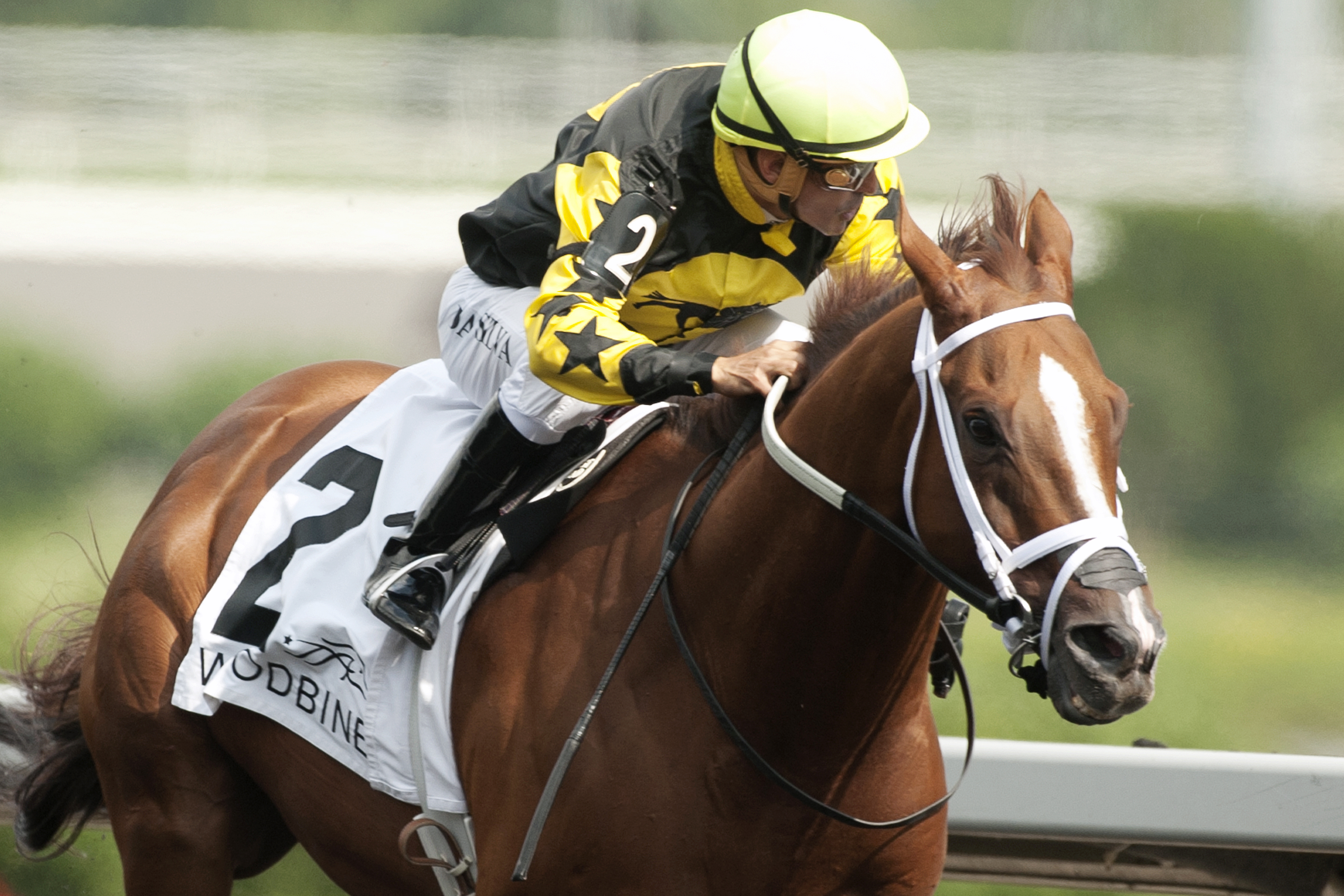 Paso Doble wins the 2014 Shepperton Stakes