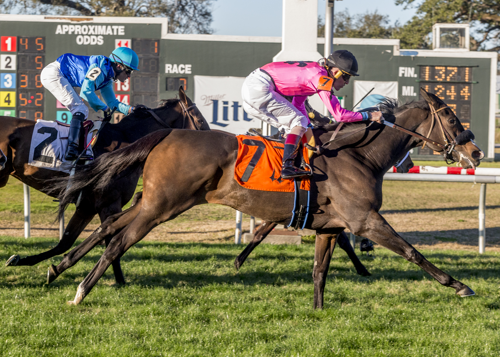 Pass the Plate wins Pago Hop Stakes 12-26-2020