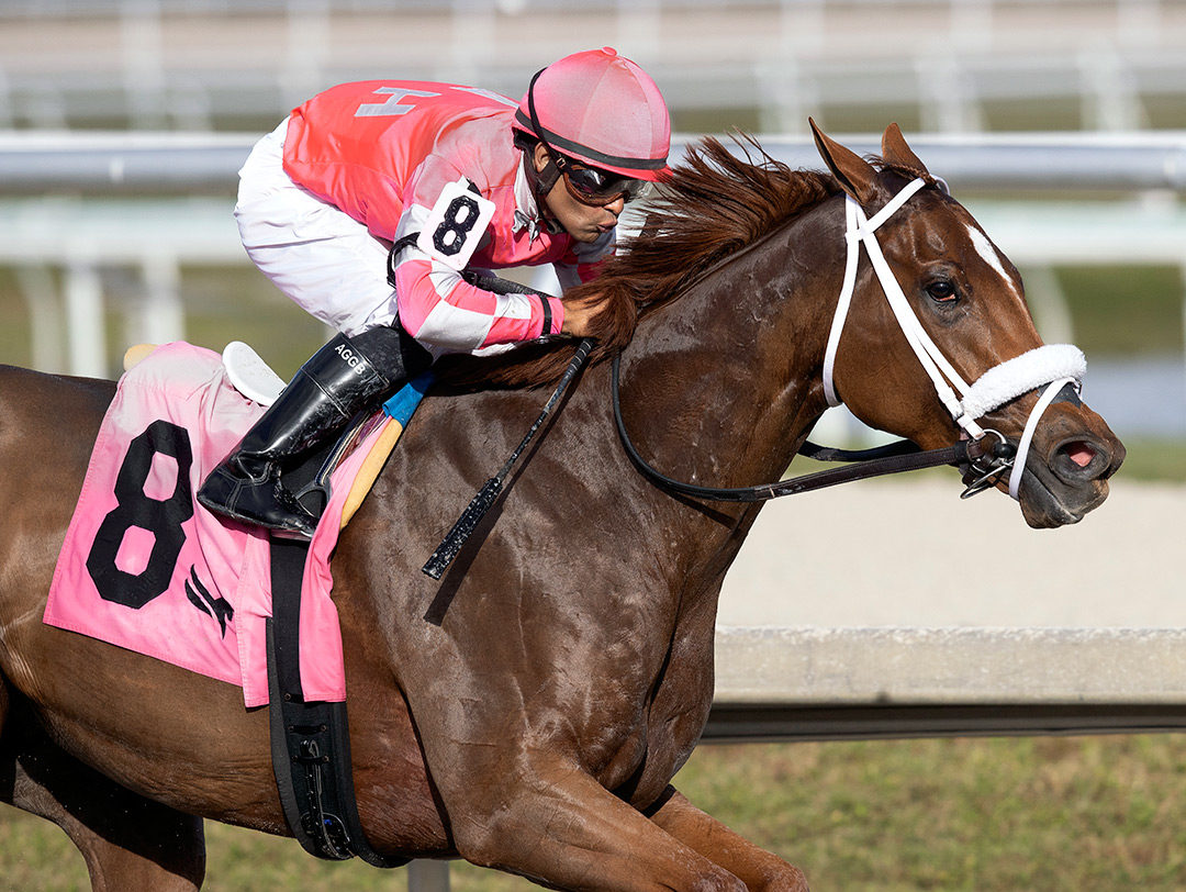 Pass the Champagne wins a Feb. 3 allowance at Gulfstream Park