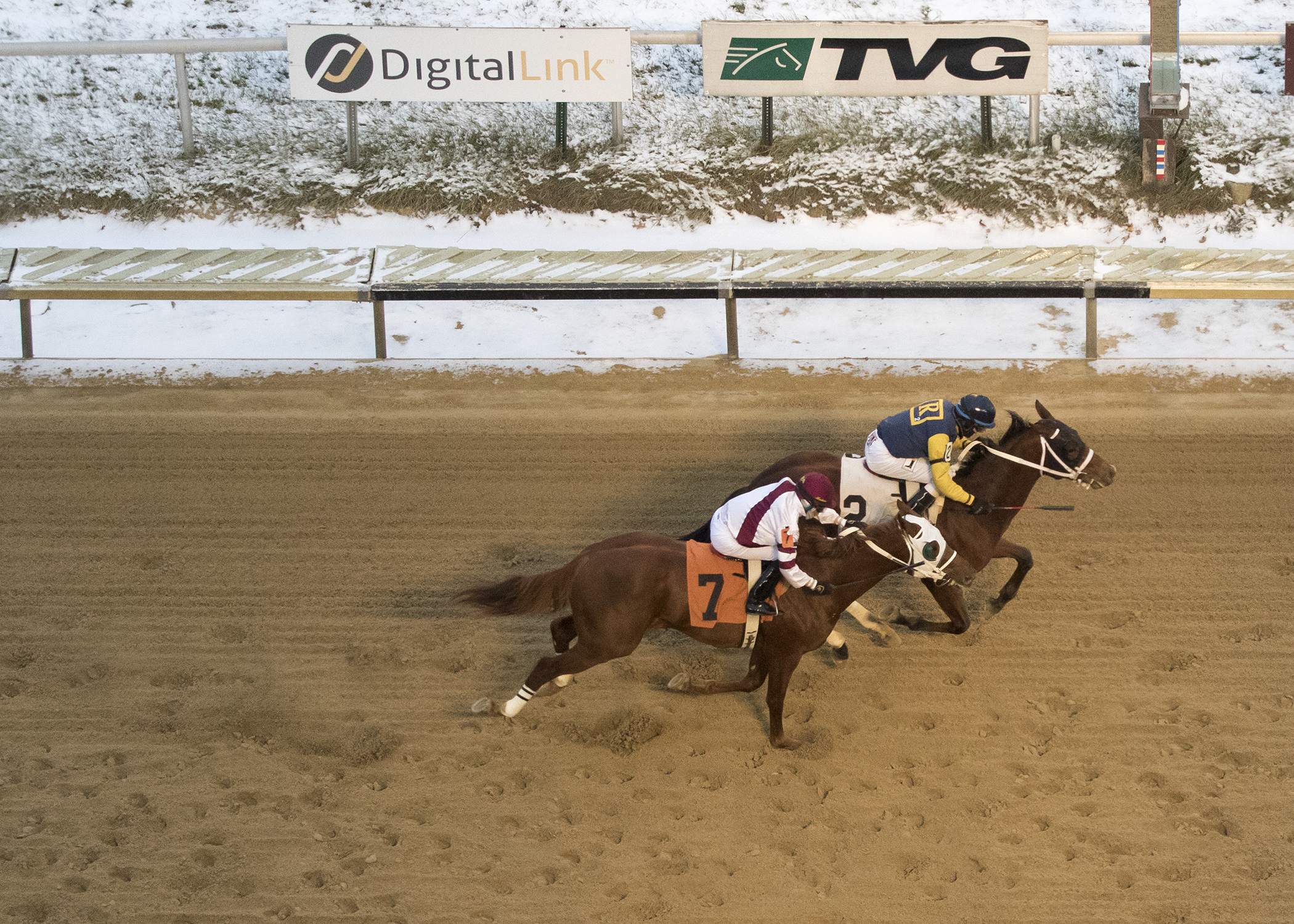 Pass the Gravy (inside) wins the 2017 Jim Edgar Illinois Futurity
