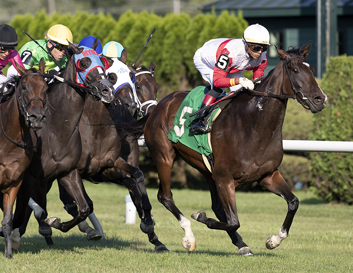 Passing Out wins an Aug. 9 allowance race at Saratoga Race Course