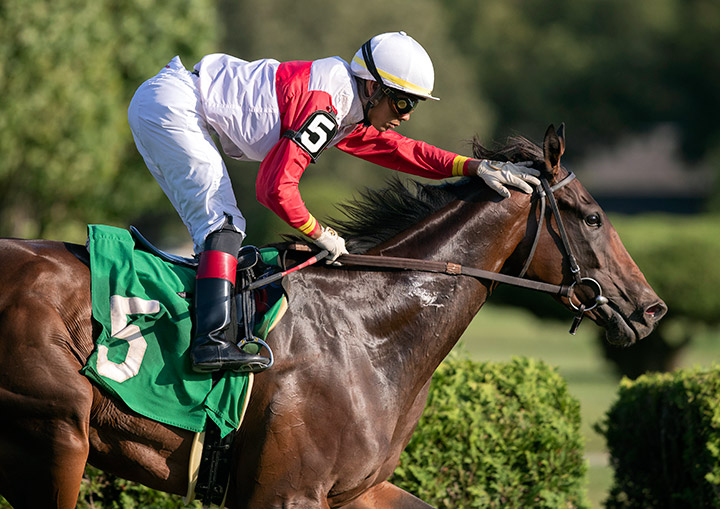 Passing Out wins an Aug. 9 allowance race at Saratoga Race Course