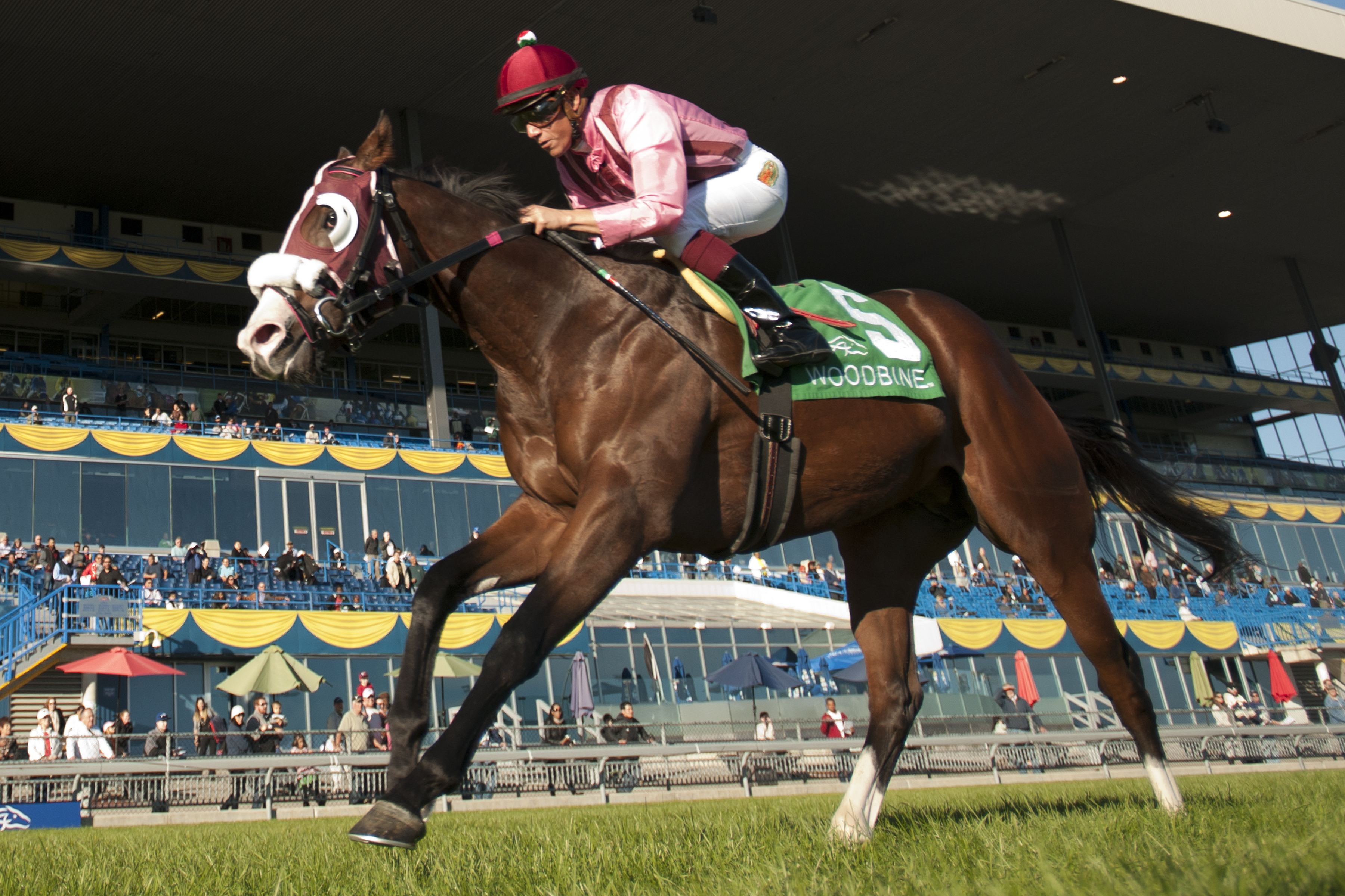 Passion for Action wins 2014 Cup and Saucer