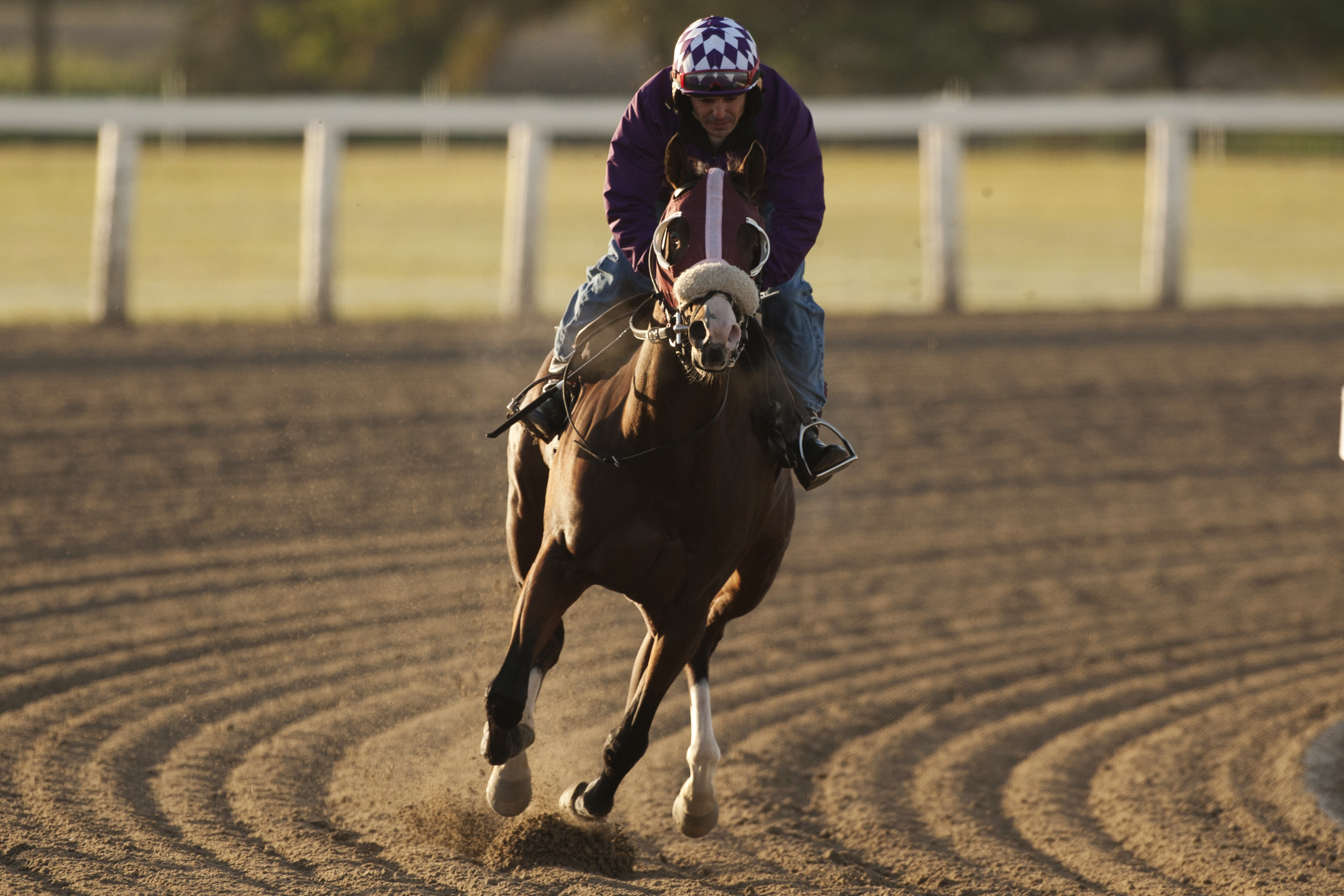 Passion for Action training at Woodbine Oct. 27