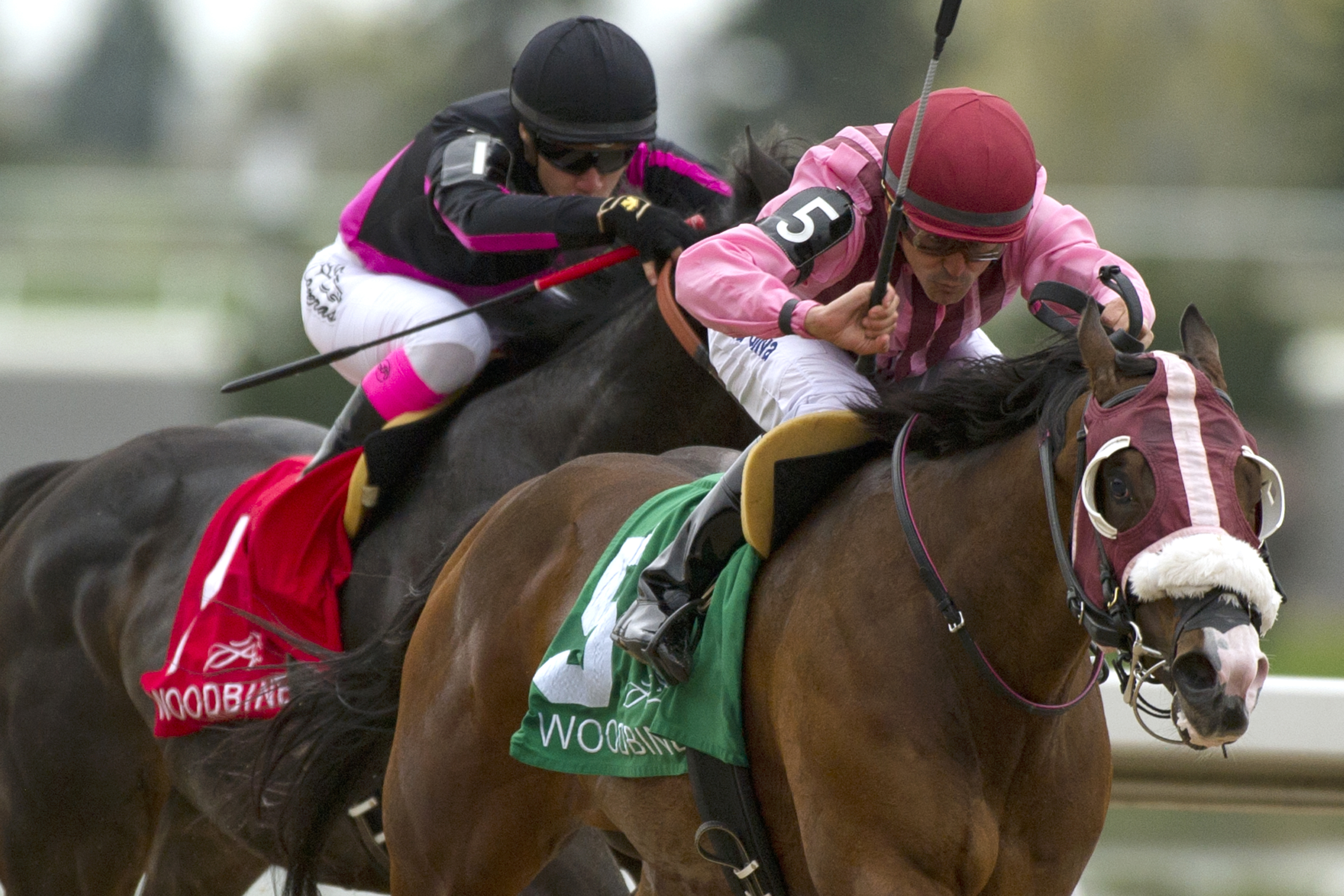 Passion for Action wins the Vigil Stakes