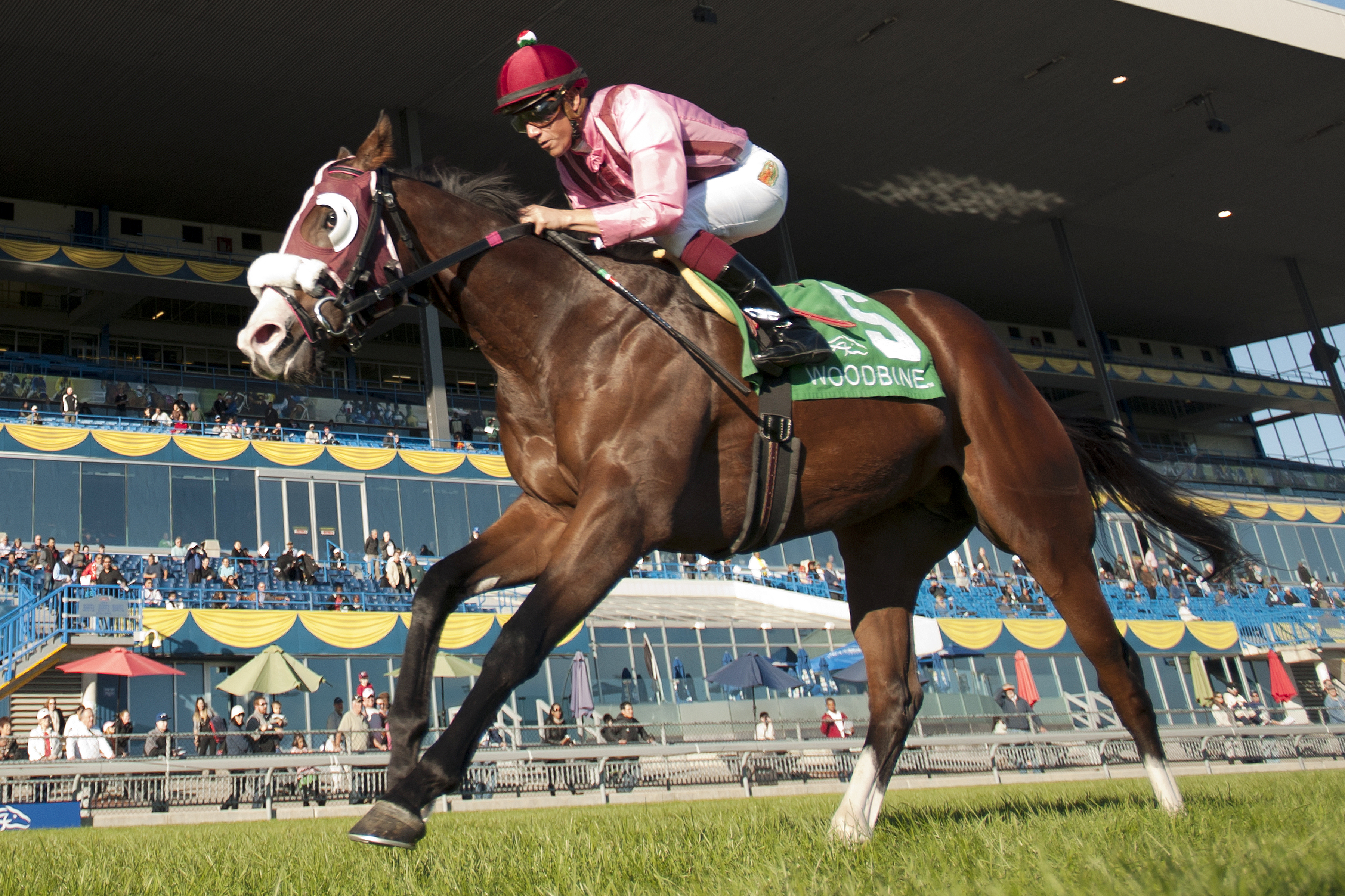 Passion for Action wins the Cup and Saucer