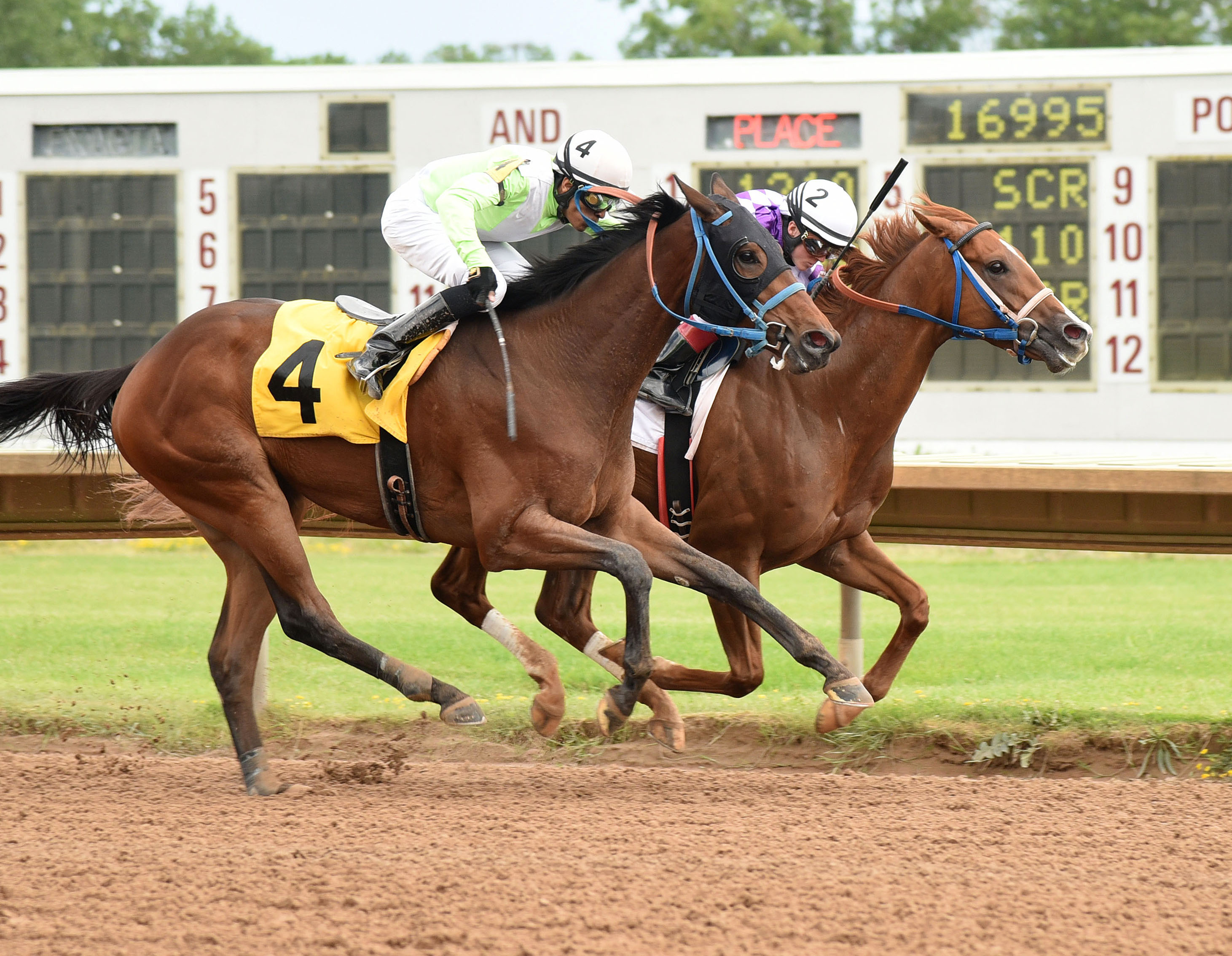 Pat On the Back wins the Ontario County Stakes