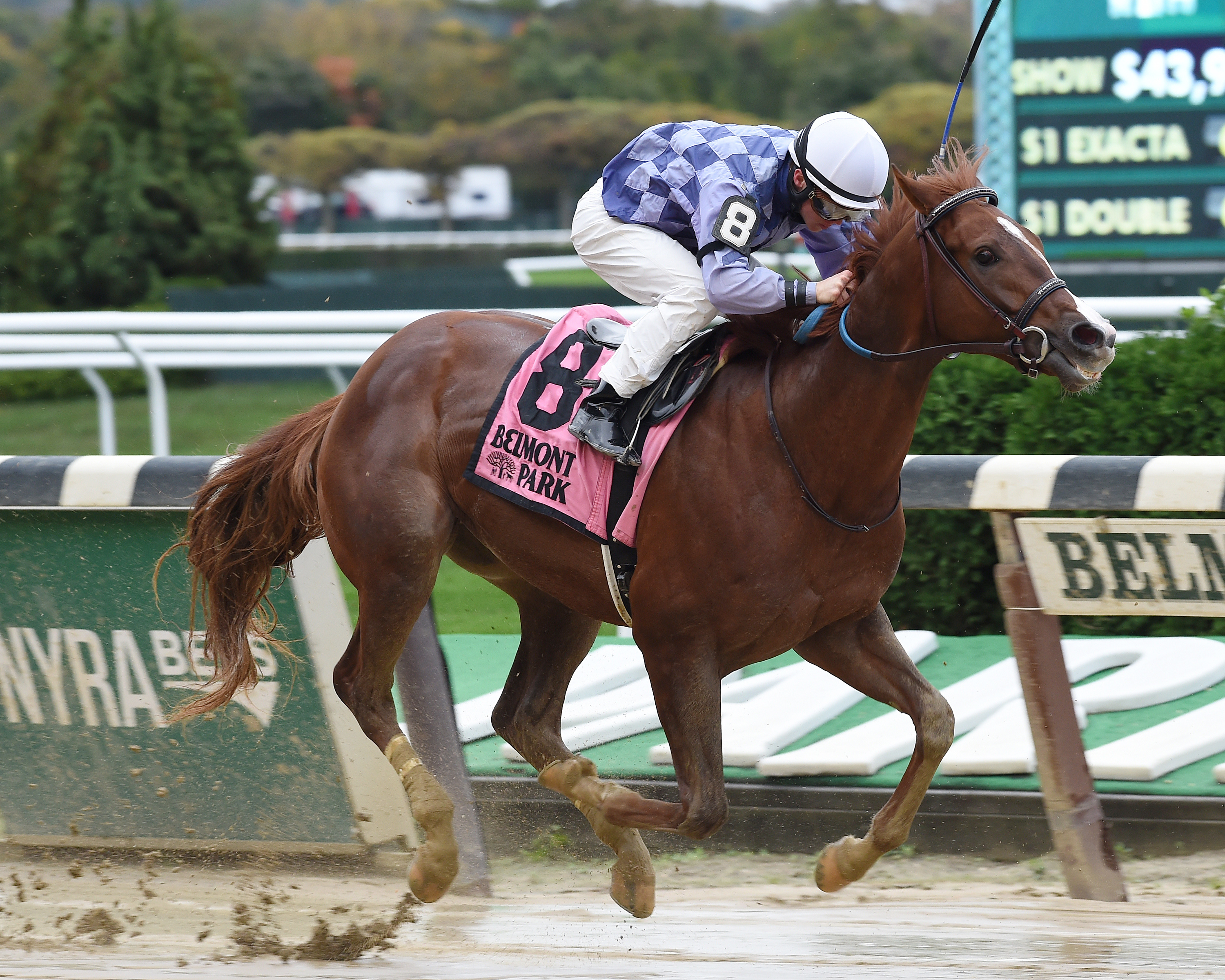 Pat On the Back wins the Sleepy Hollow