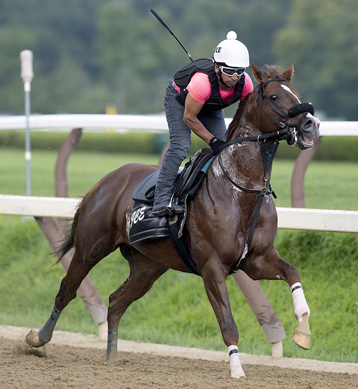 Pat On the Back trains at Saratoga Race Course on Aug. 7