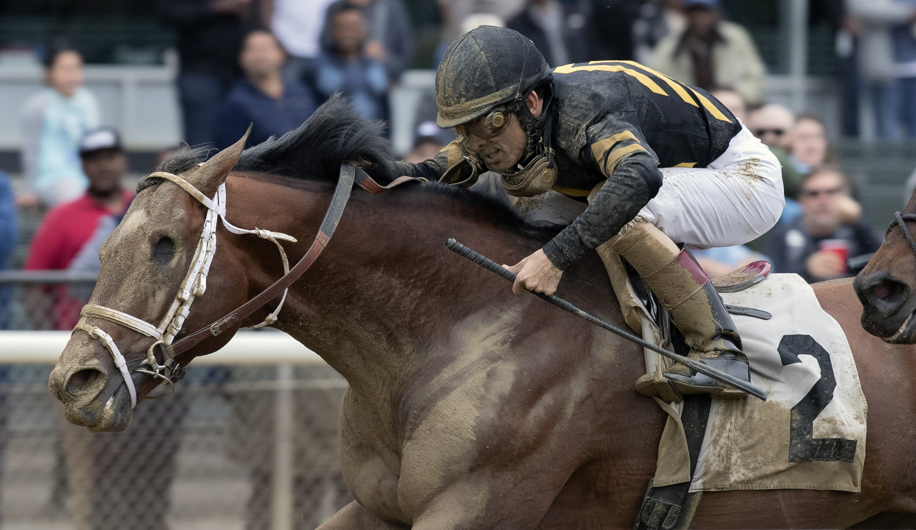 Patch wins 4-year-old debut