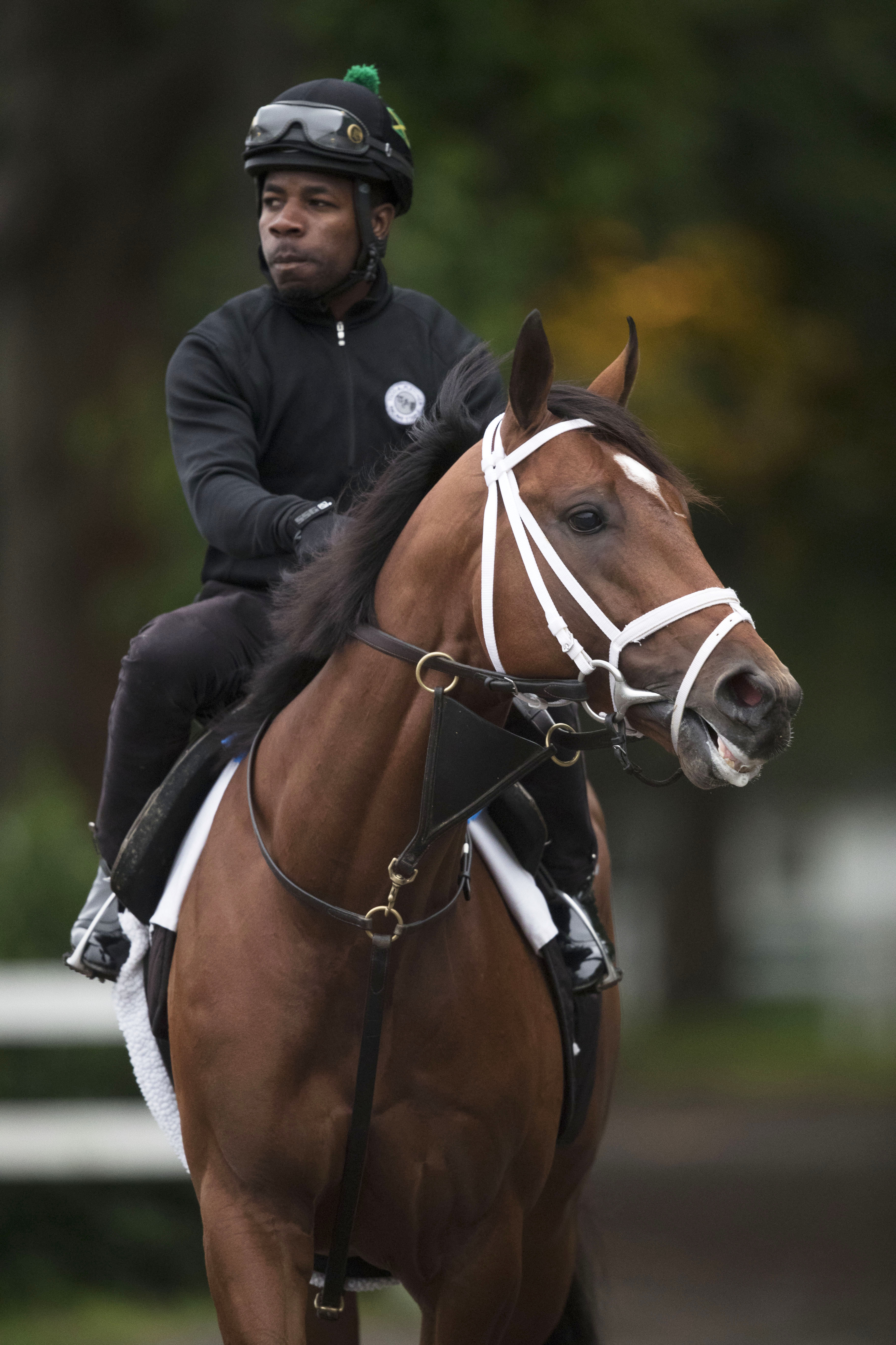 Patch at Belmont Park on June 6