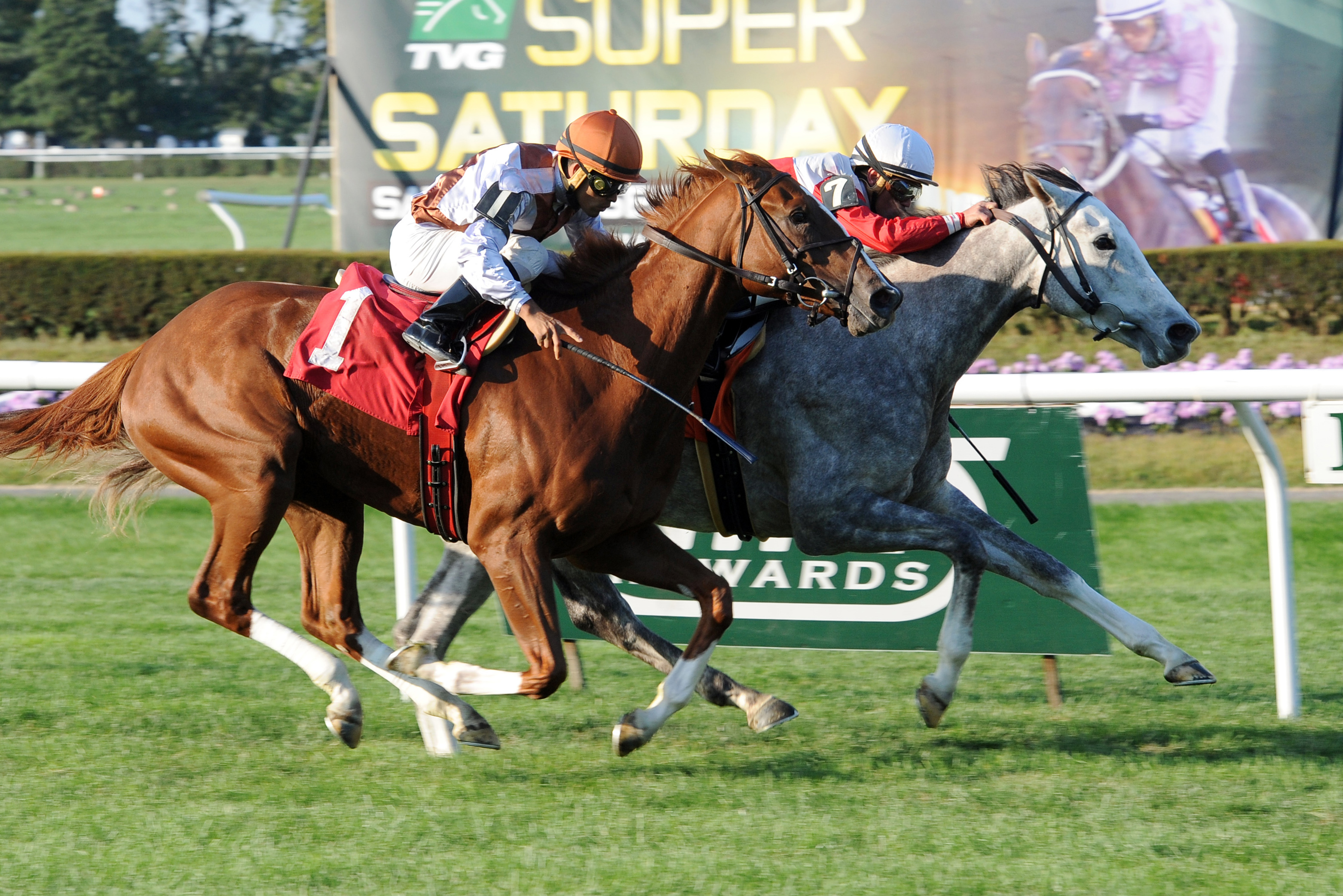 Path wins a maiden race
