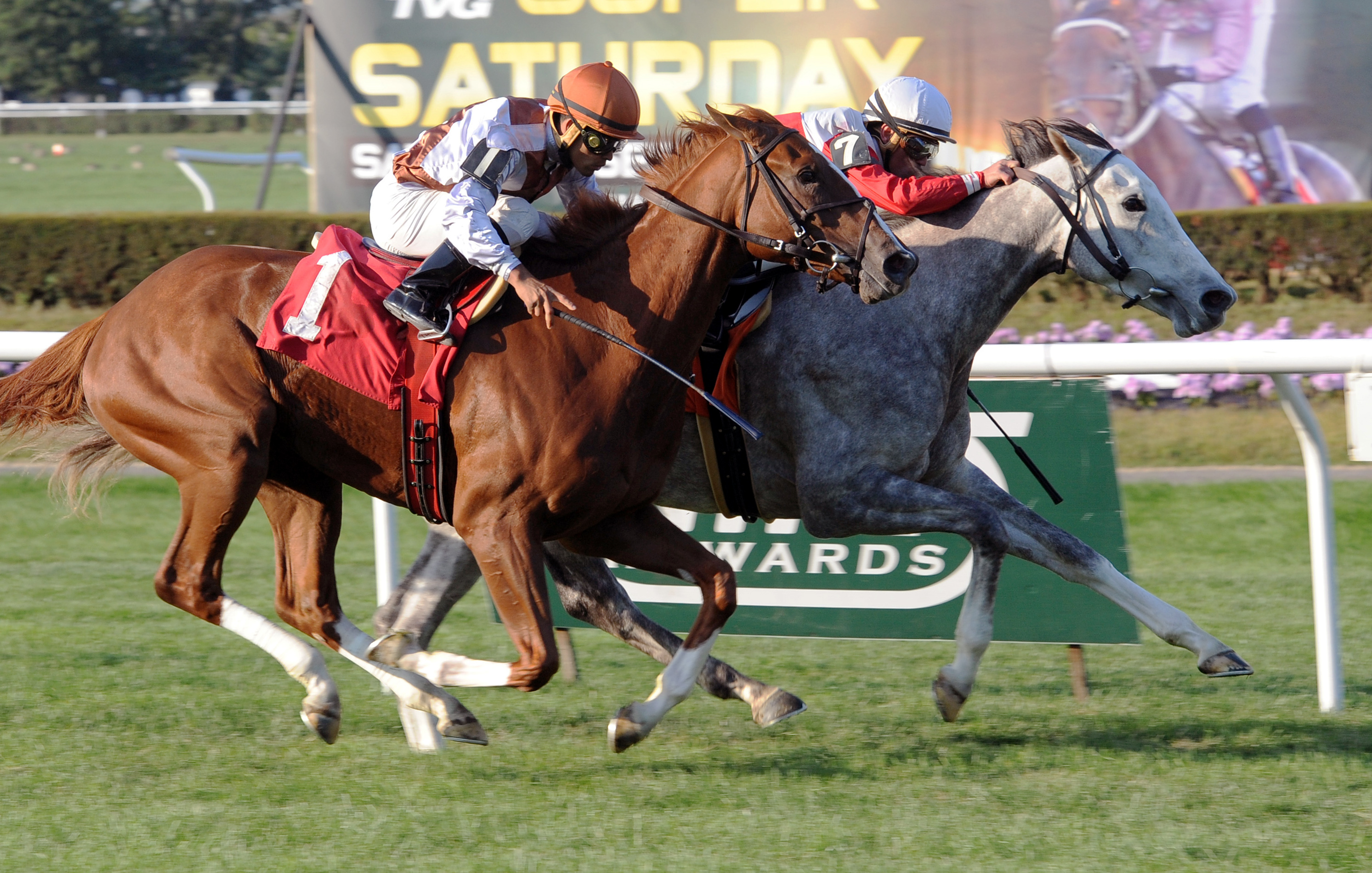 Path wins a maiden race