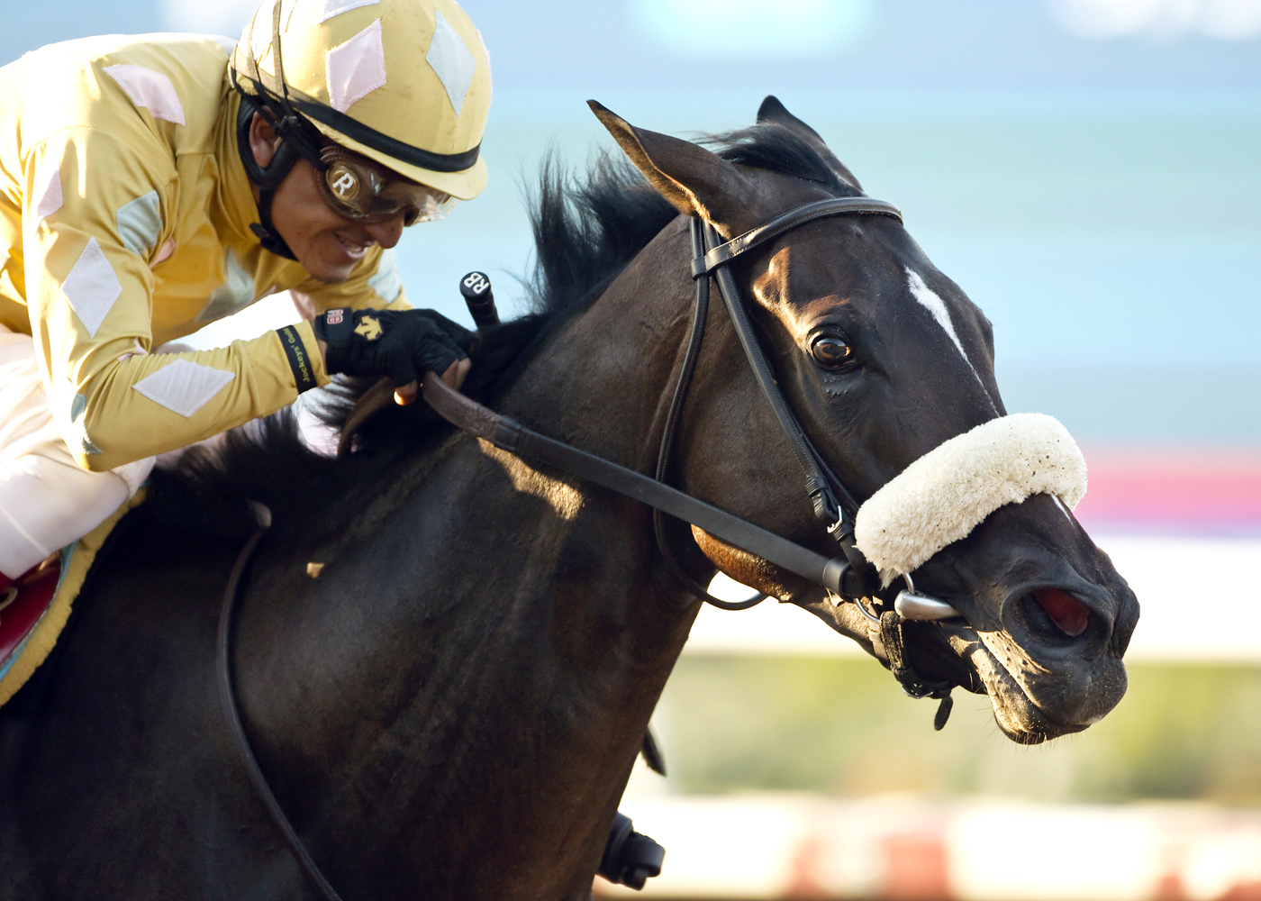 Patriotic Diamond wins the Generous Portion Stakes