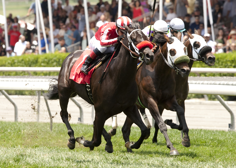 Patriots Rule wins 2015 Crystal Water