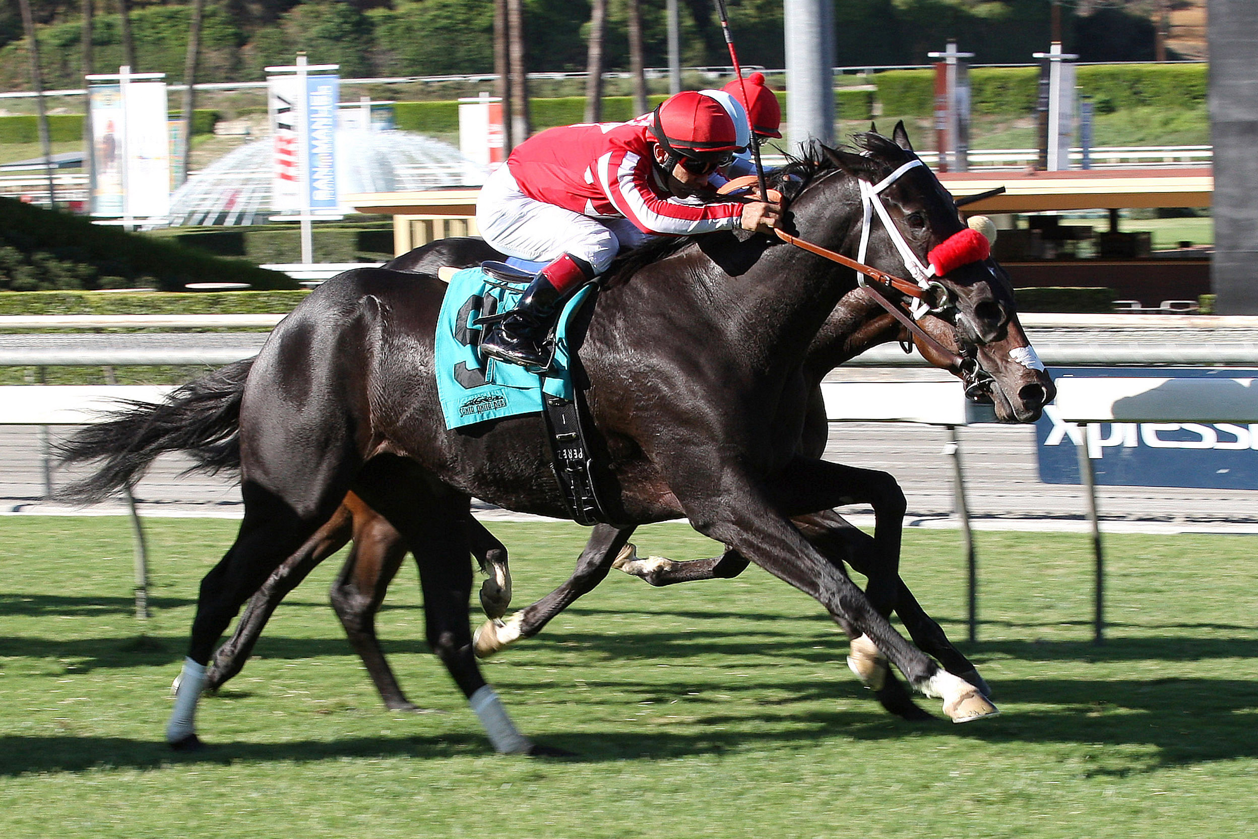 Patriots Rule wins an allowance race