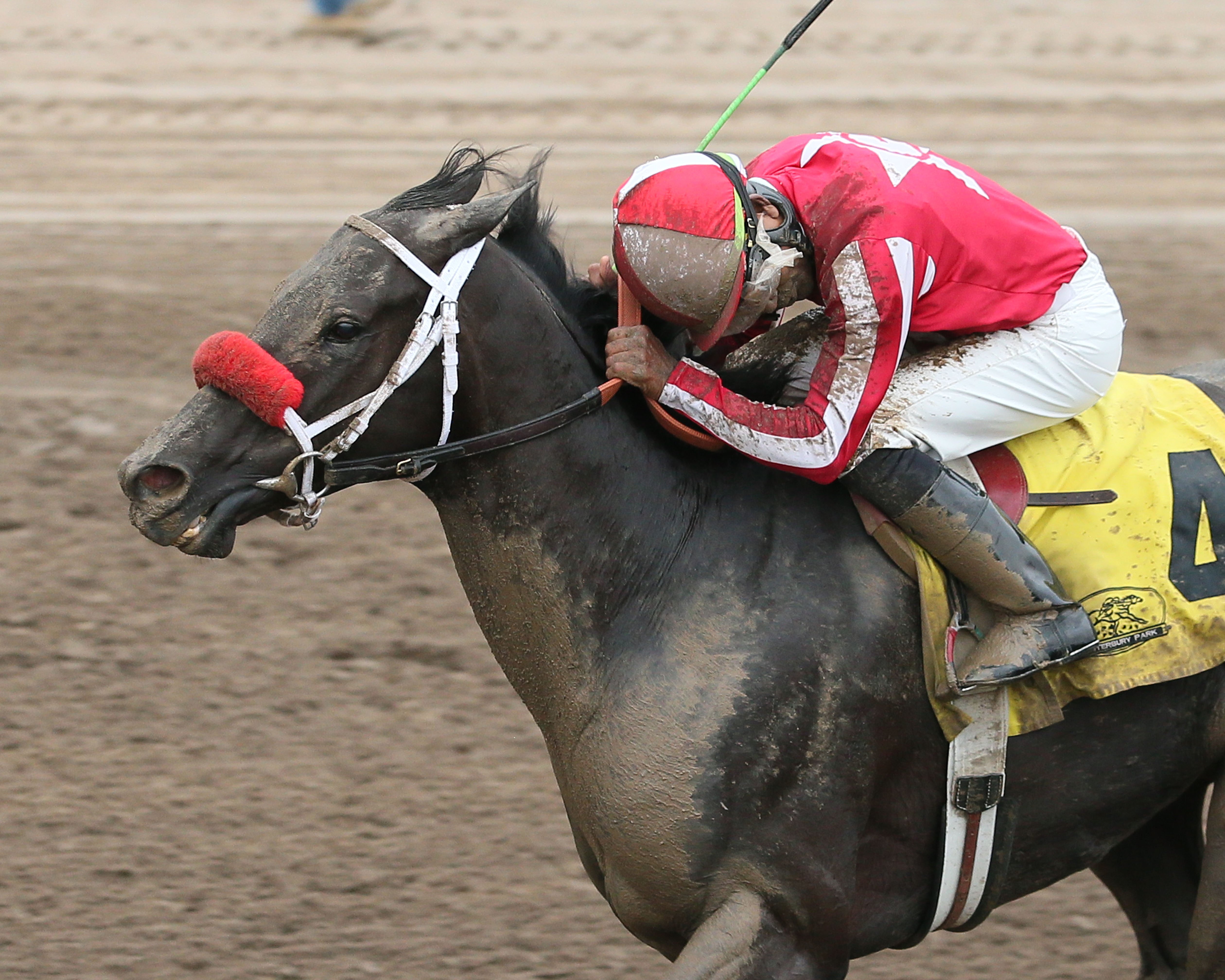 Patriots Rule wins the 2017 Brooks Fields Stakes