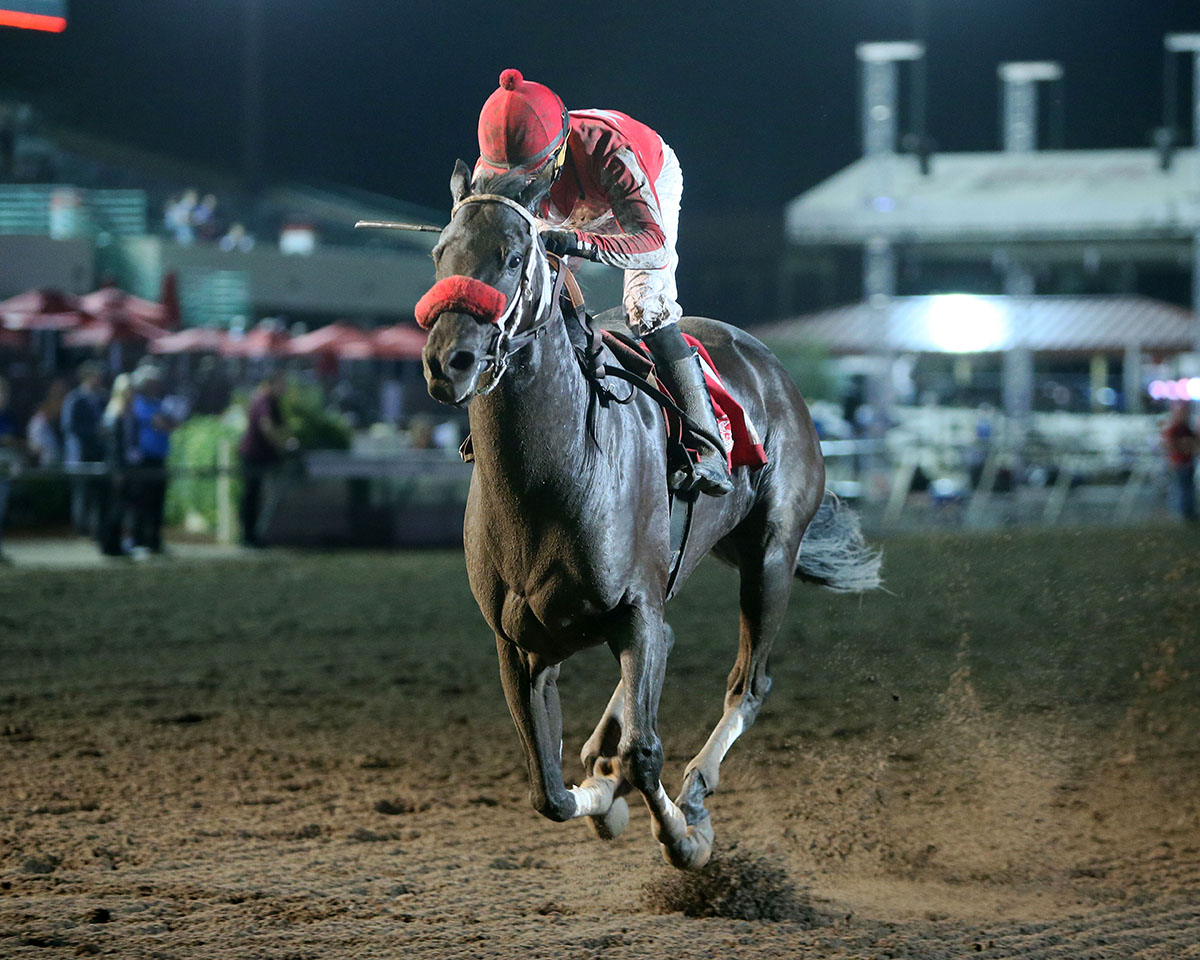 Patriots Rule wins the 2018 John Bullitt Stakes