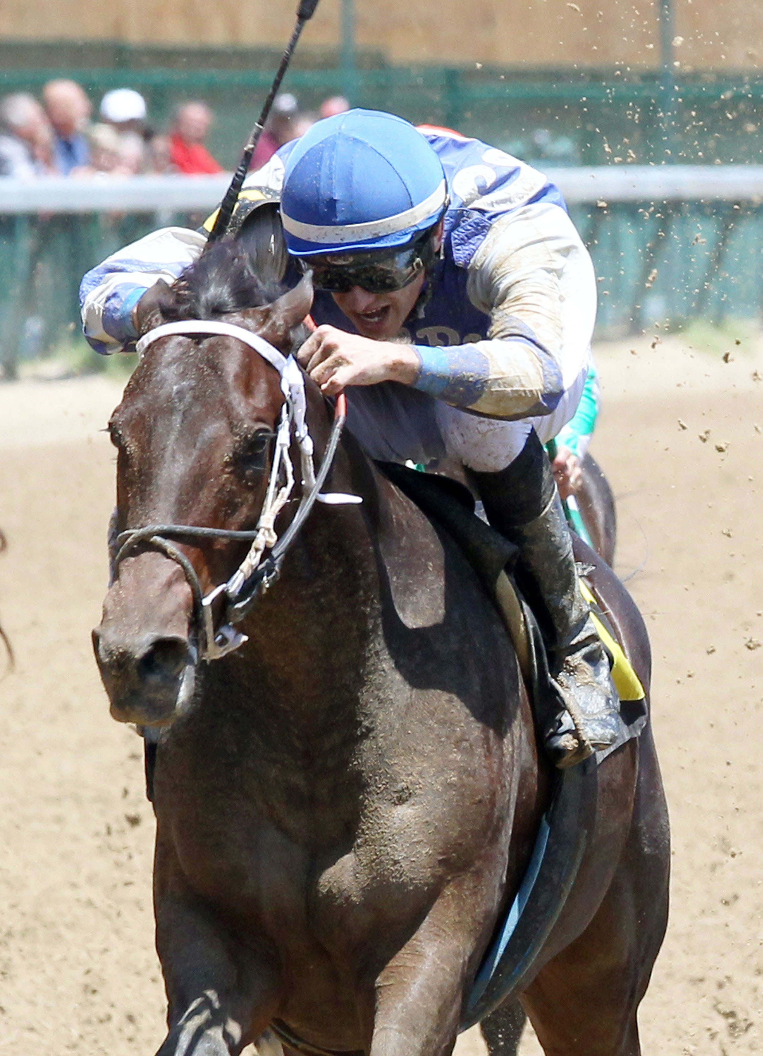 Patrona Margarita wins a maiden race