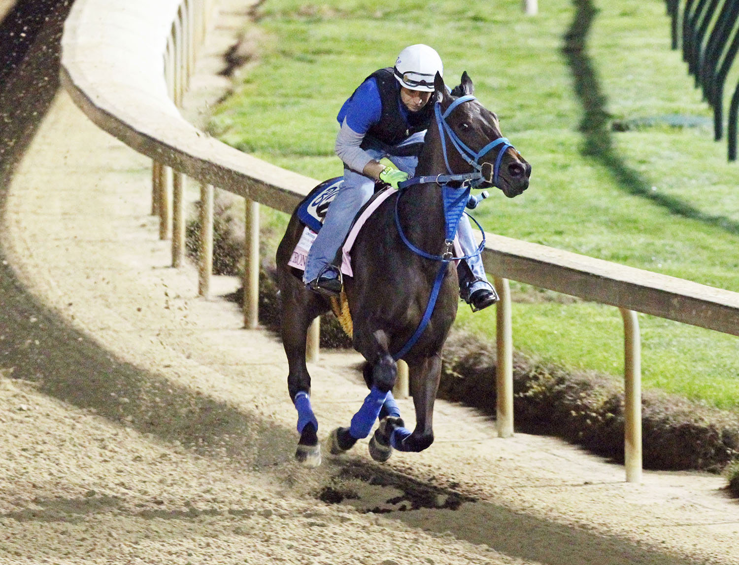 Patrona Margarita trains at Churchill in April