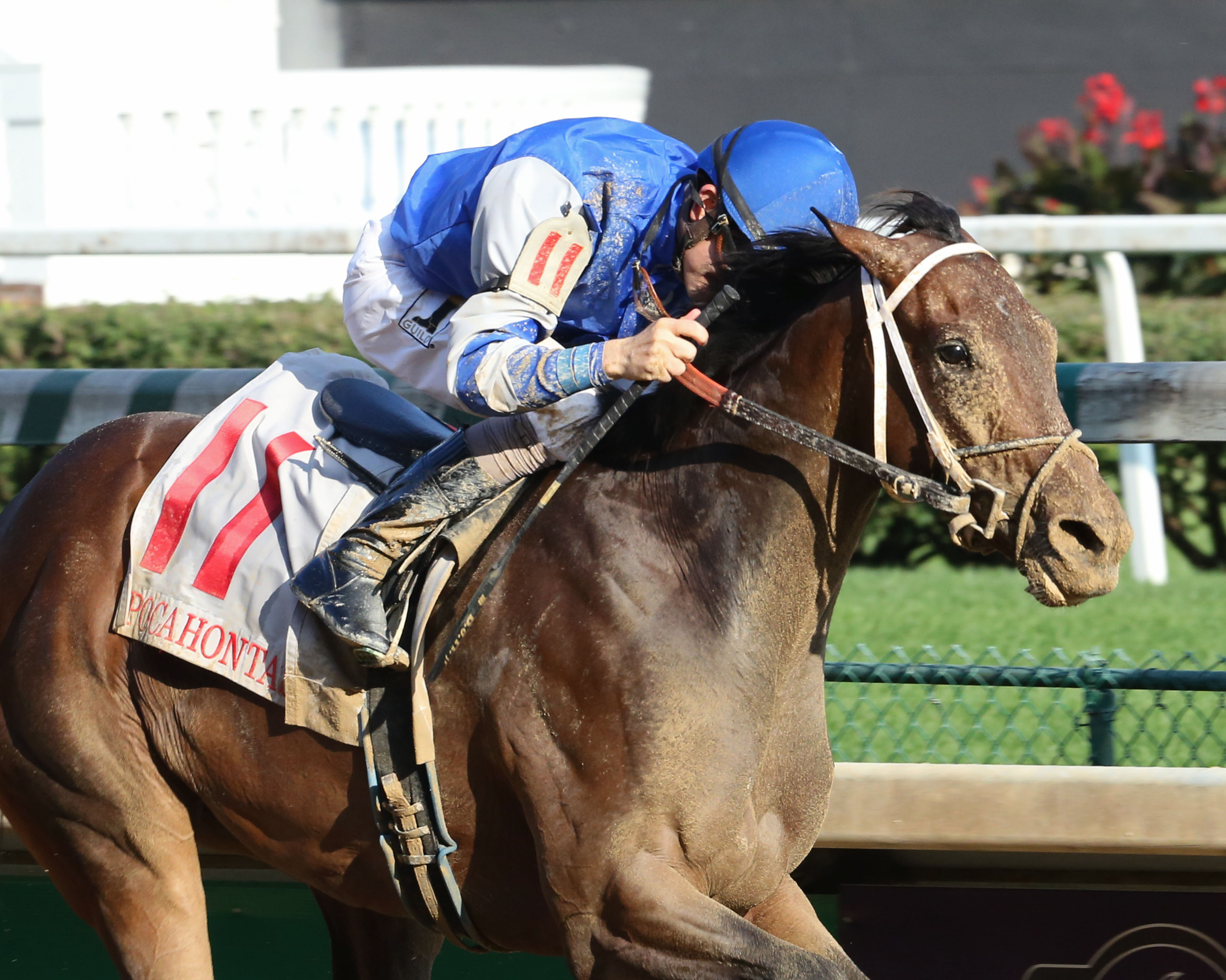 Patrona Margarita wins the 2017 Pocahontas