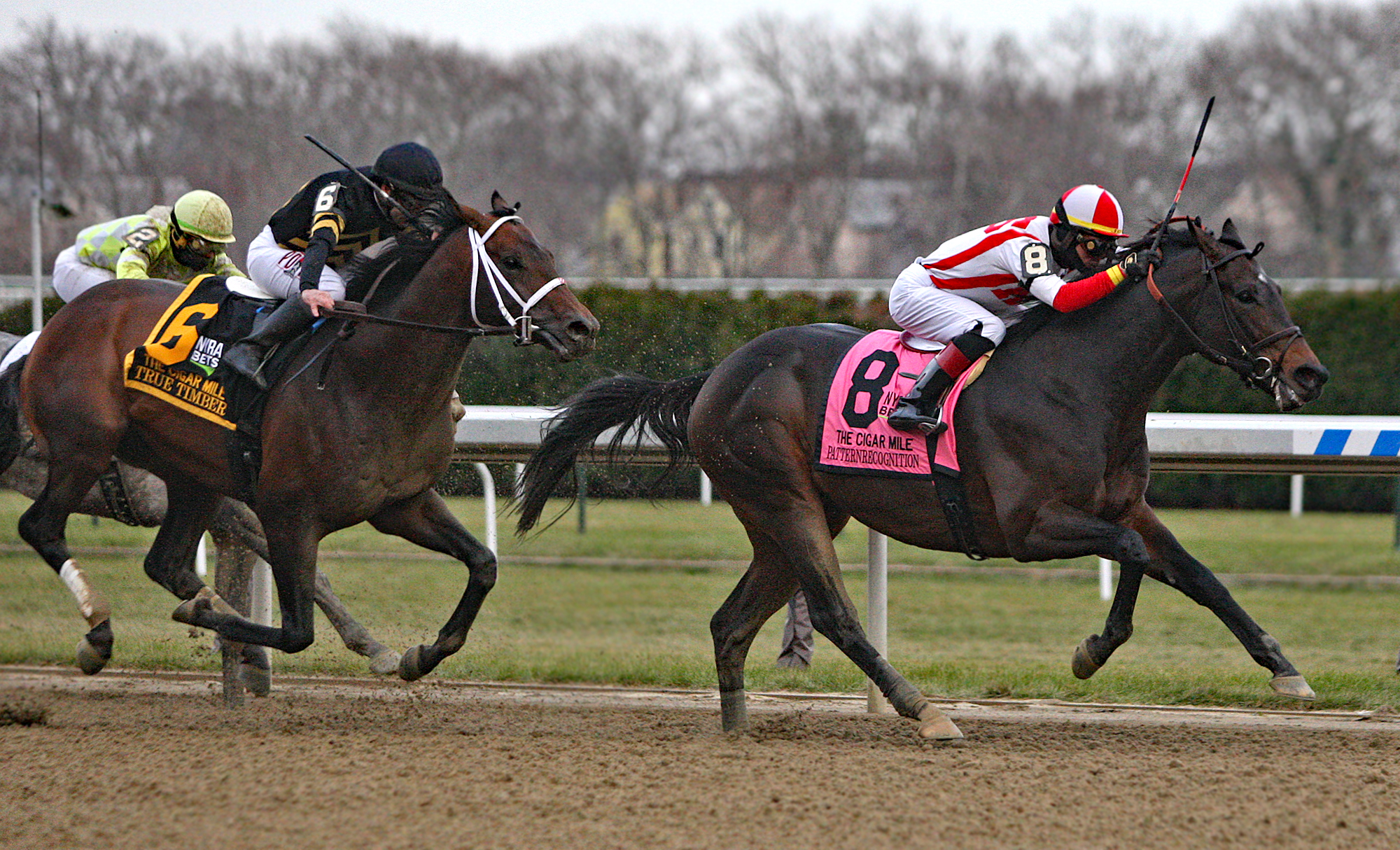 Patternrecognition wins 2018 Cigar Mile
