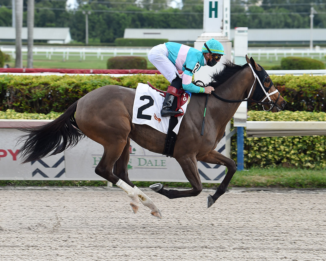 Patty H wins a December 2020 maiden race at Gulfstream Park