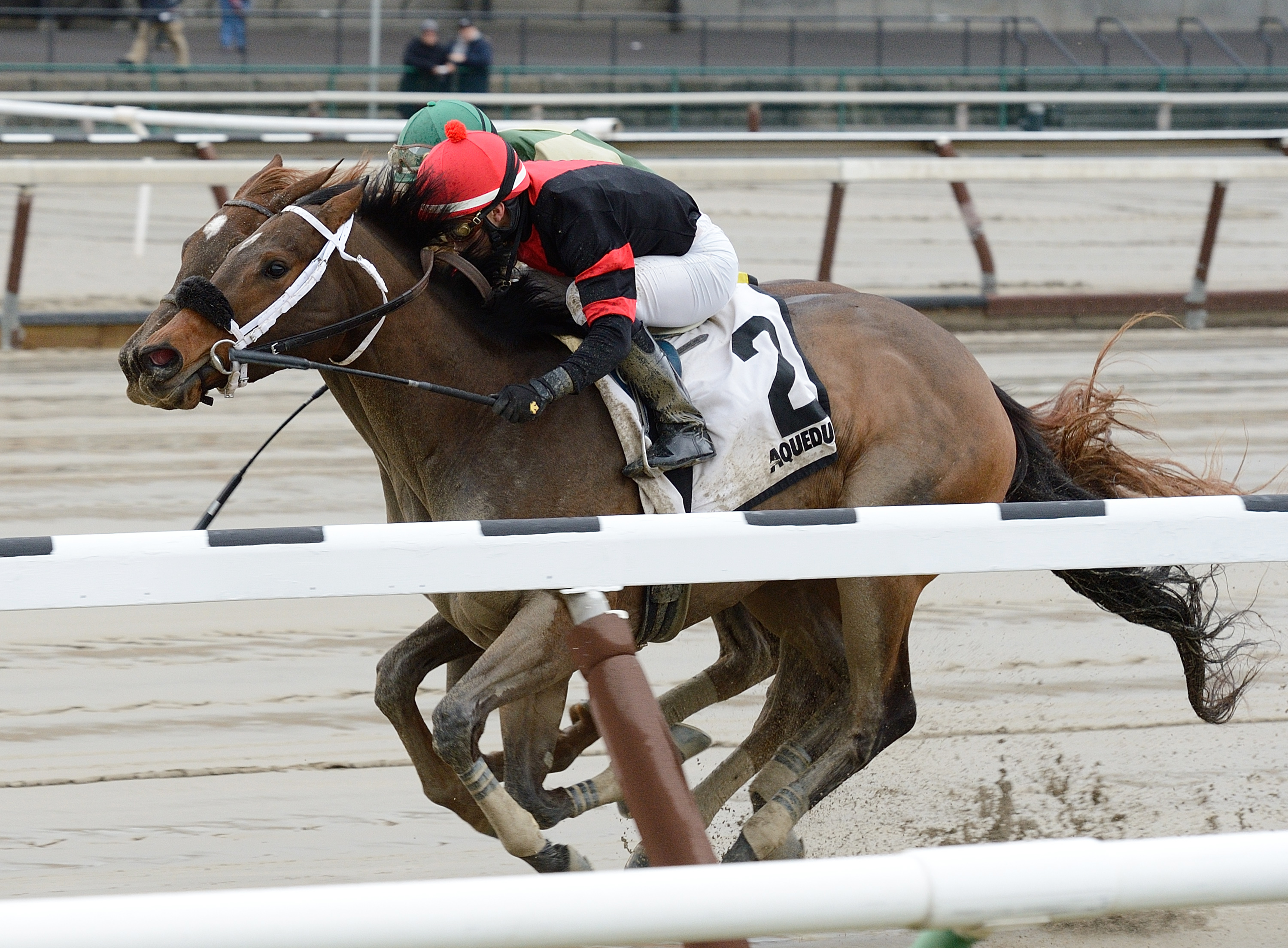 Paulassilverlining wins the 2015 Ruthless Stakes