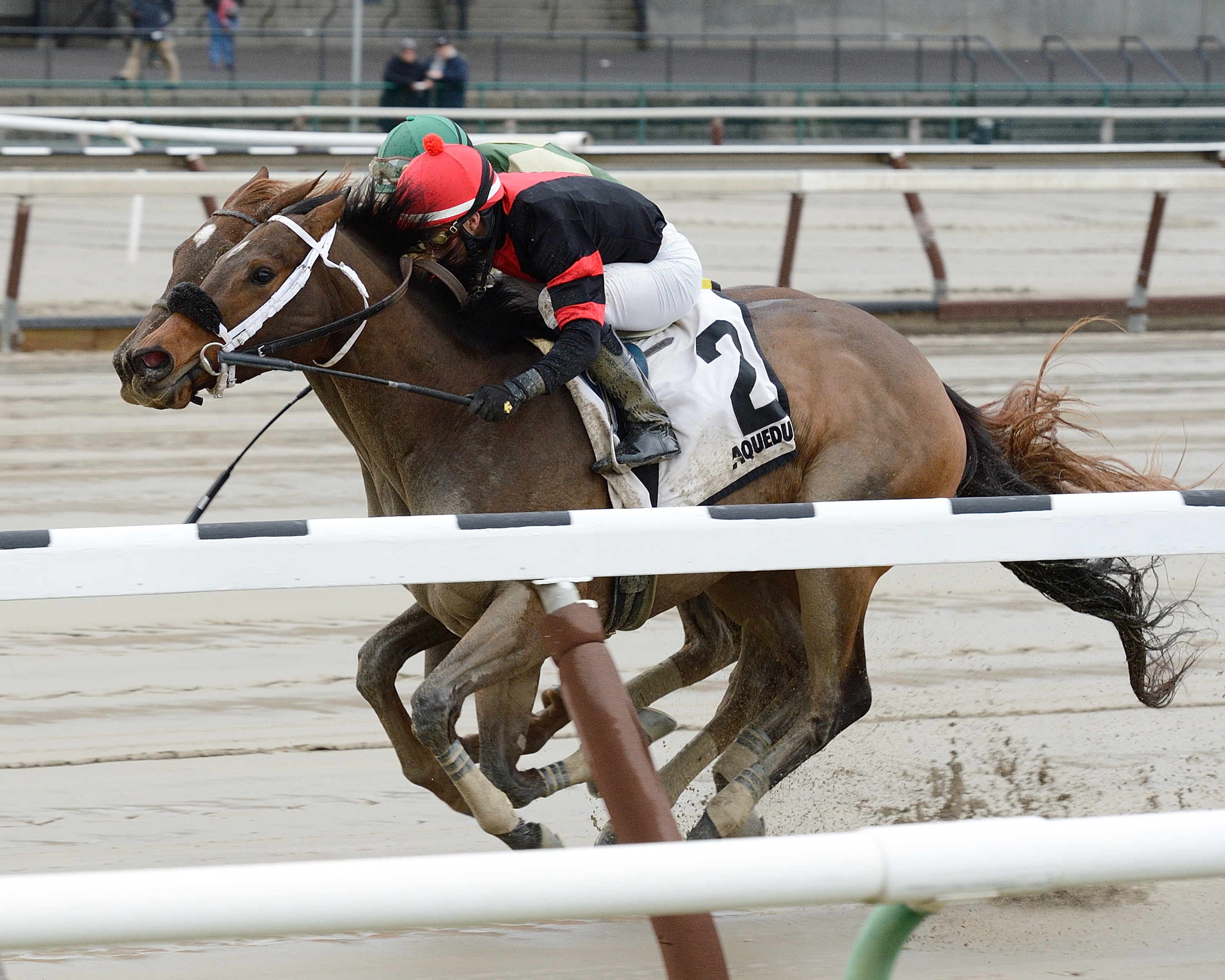 Paulassilverlining wins the 2015 Ruthless Stakes
