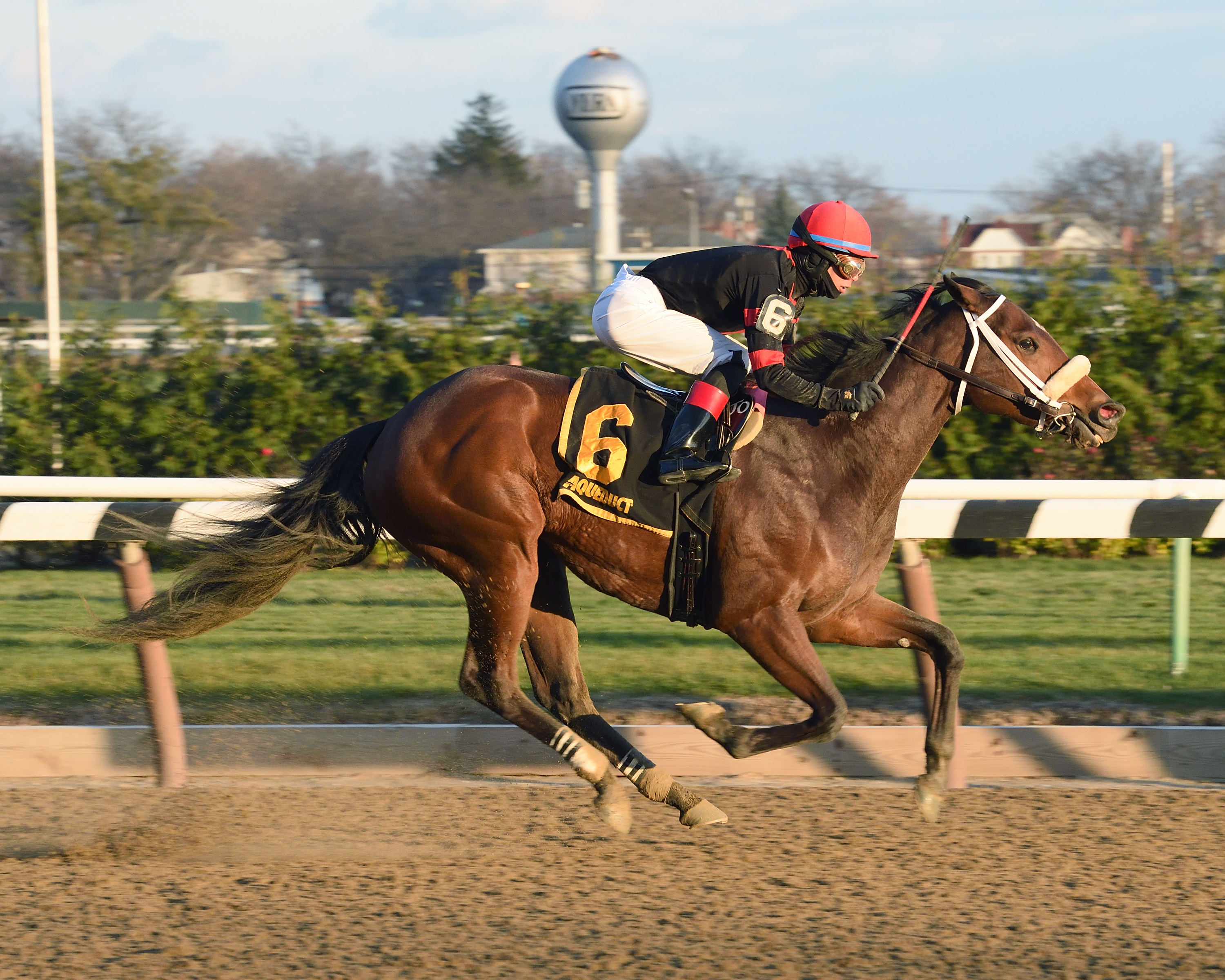 Paulassilverlining wins the Garland of Roses Stakes