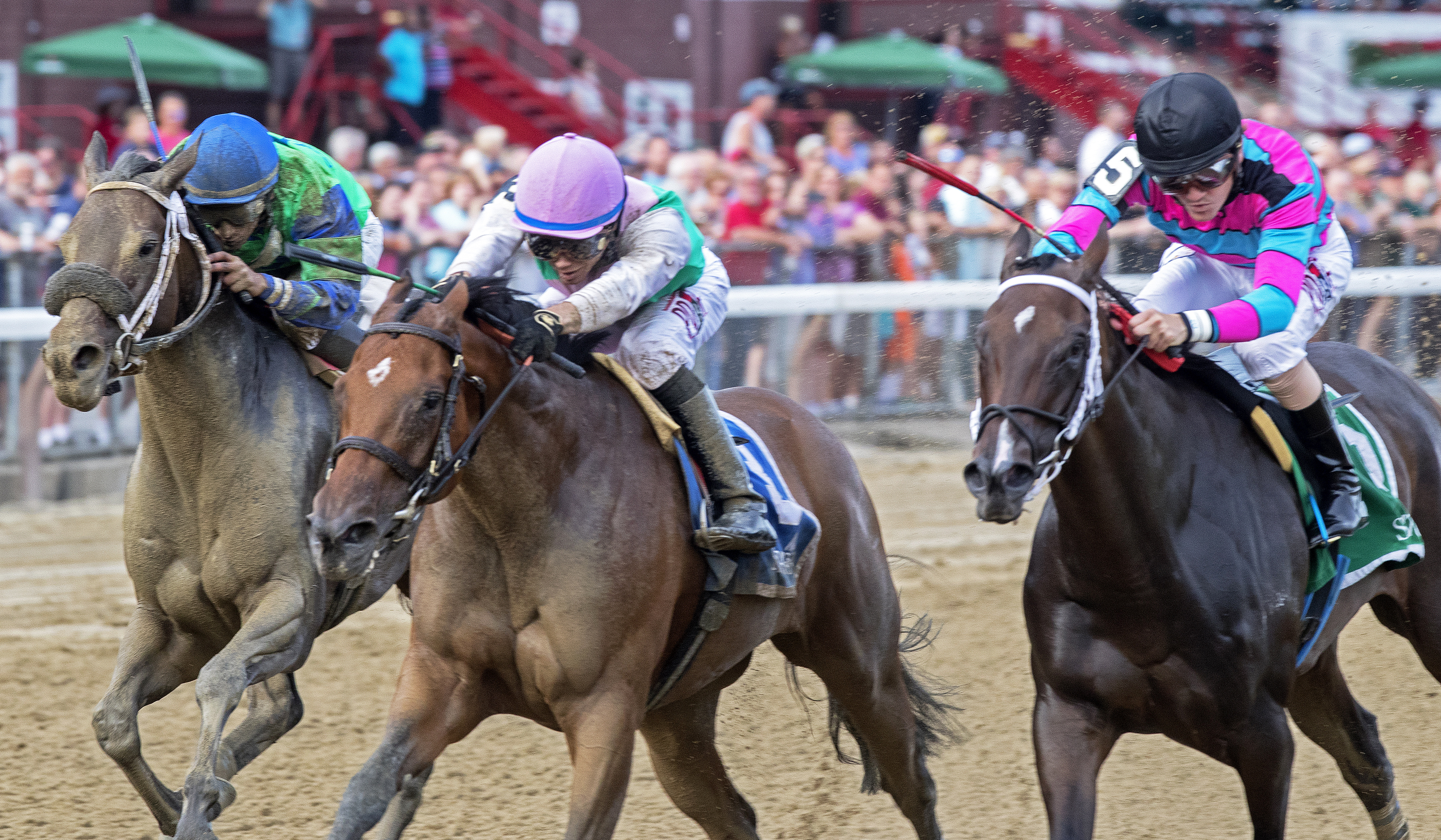 Paulassilverlining wins the 2017 Honorable Miss