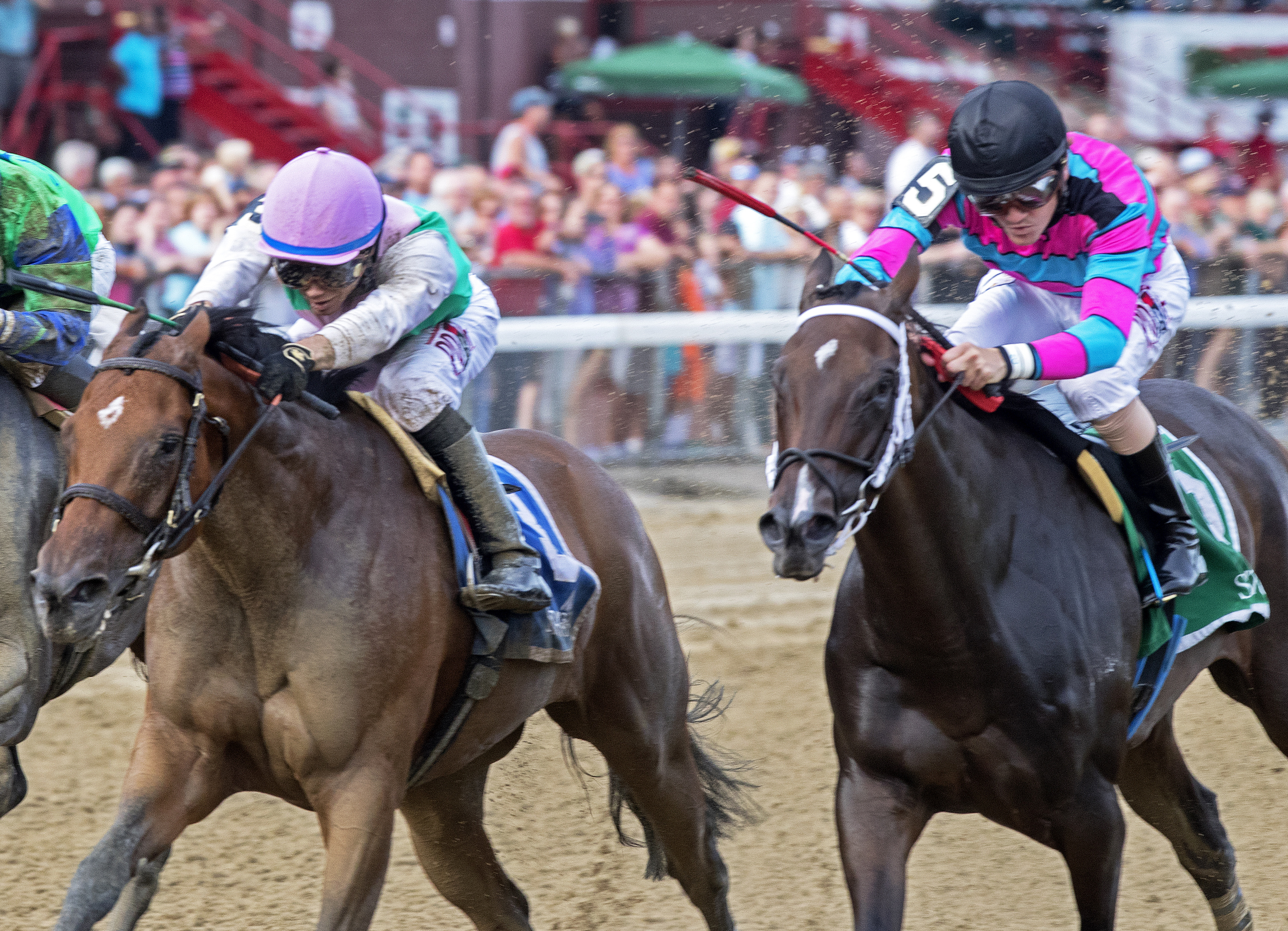 Finley'sluckycharm finishes second in the 2017 Honorable Miss