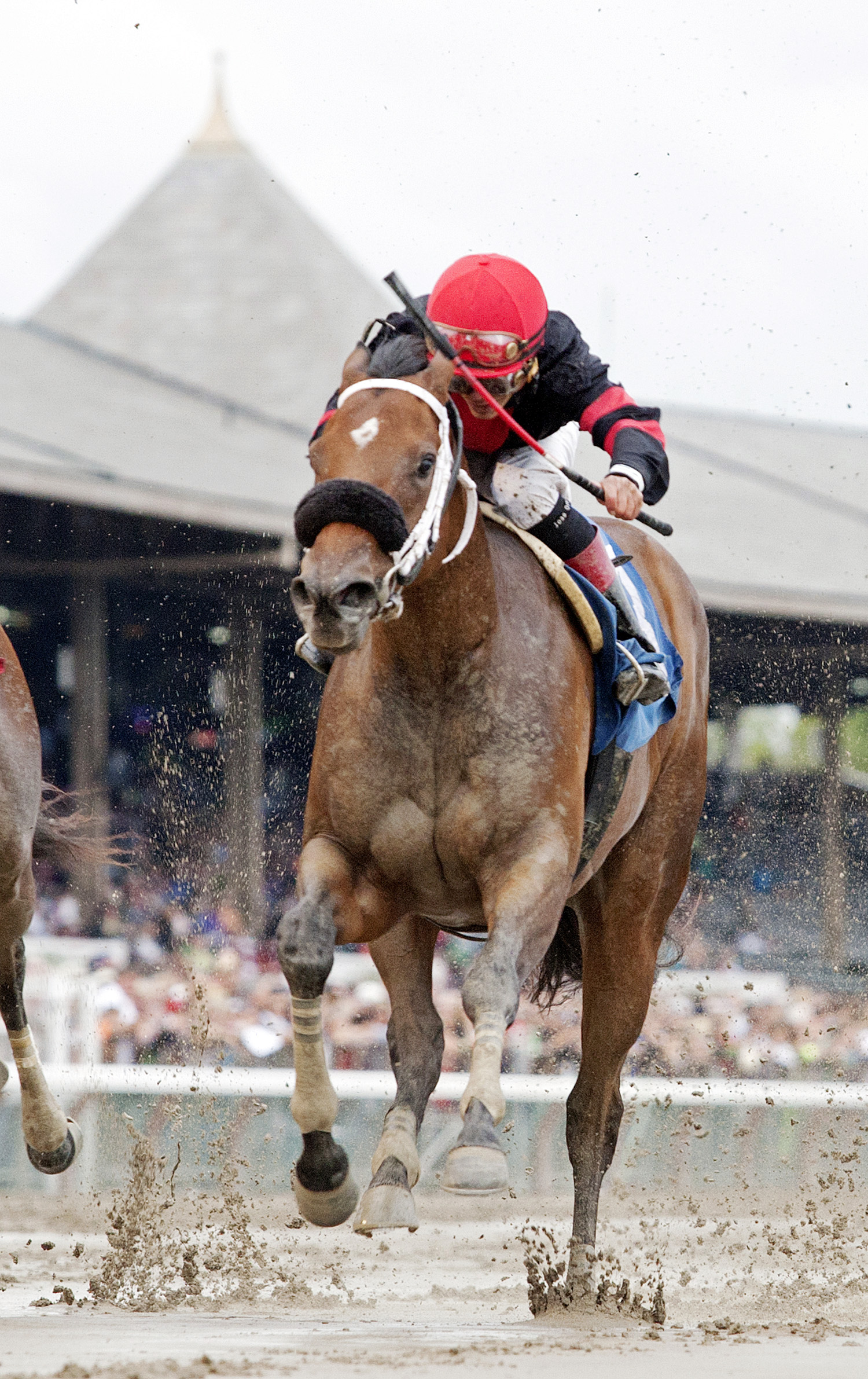 Paulassilverlining wins a maiden race
