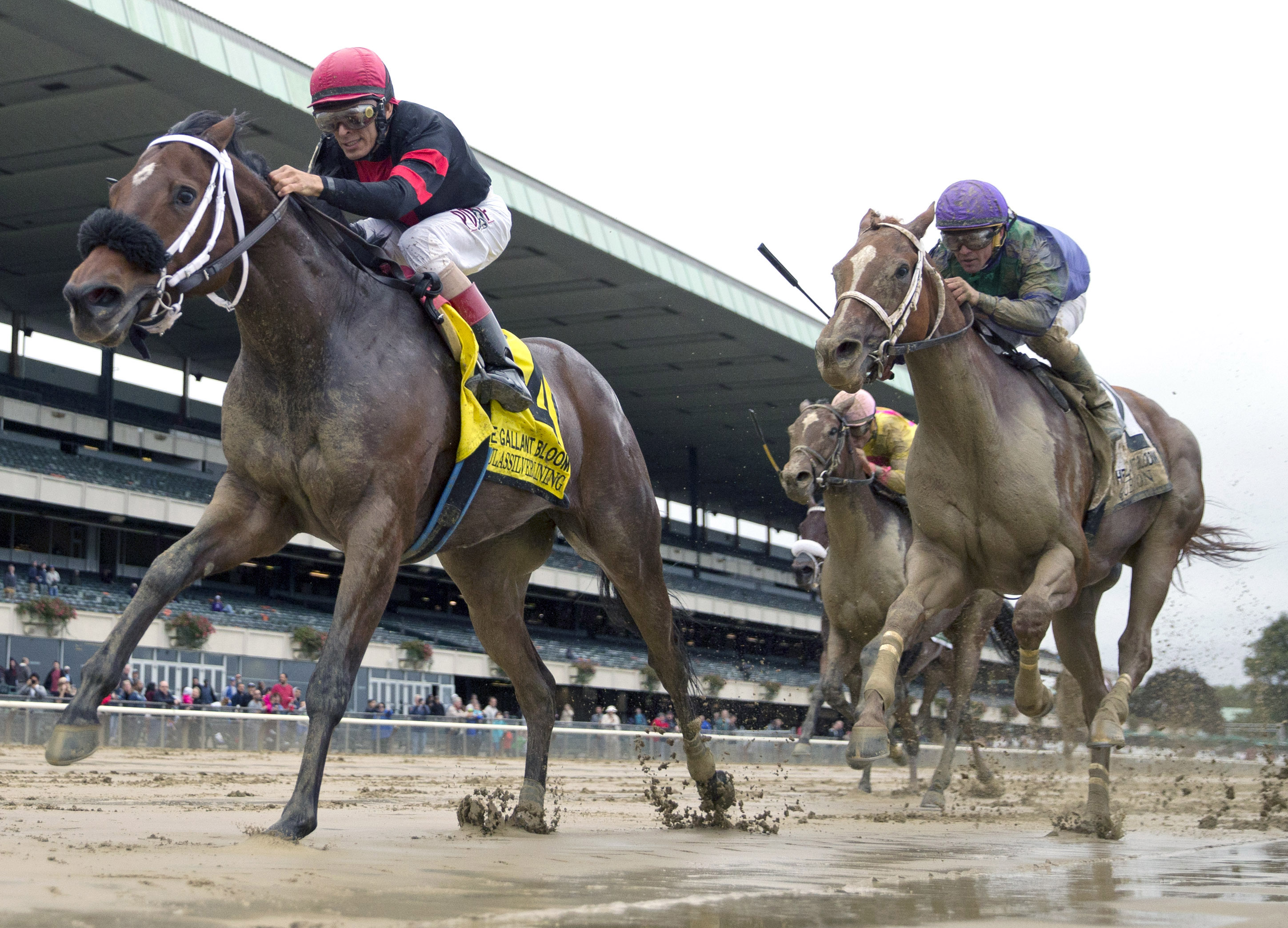 Paulassilverlining wins the Gallant Bloom Handicap