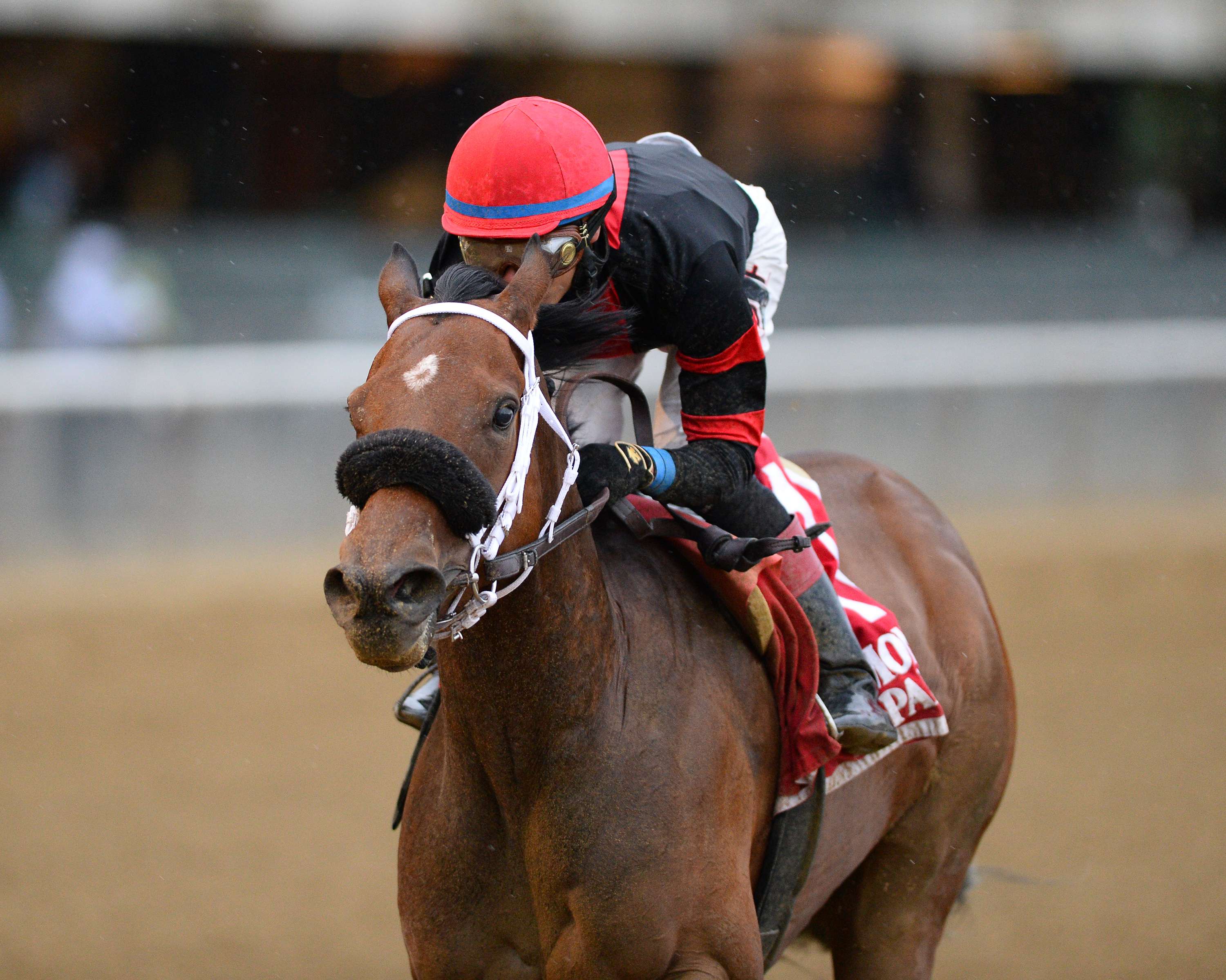 Paulassilverlining wins the Vagrancy Handicap