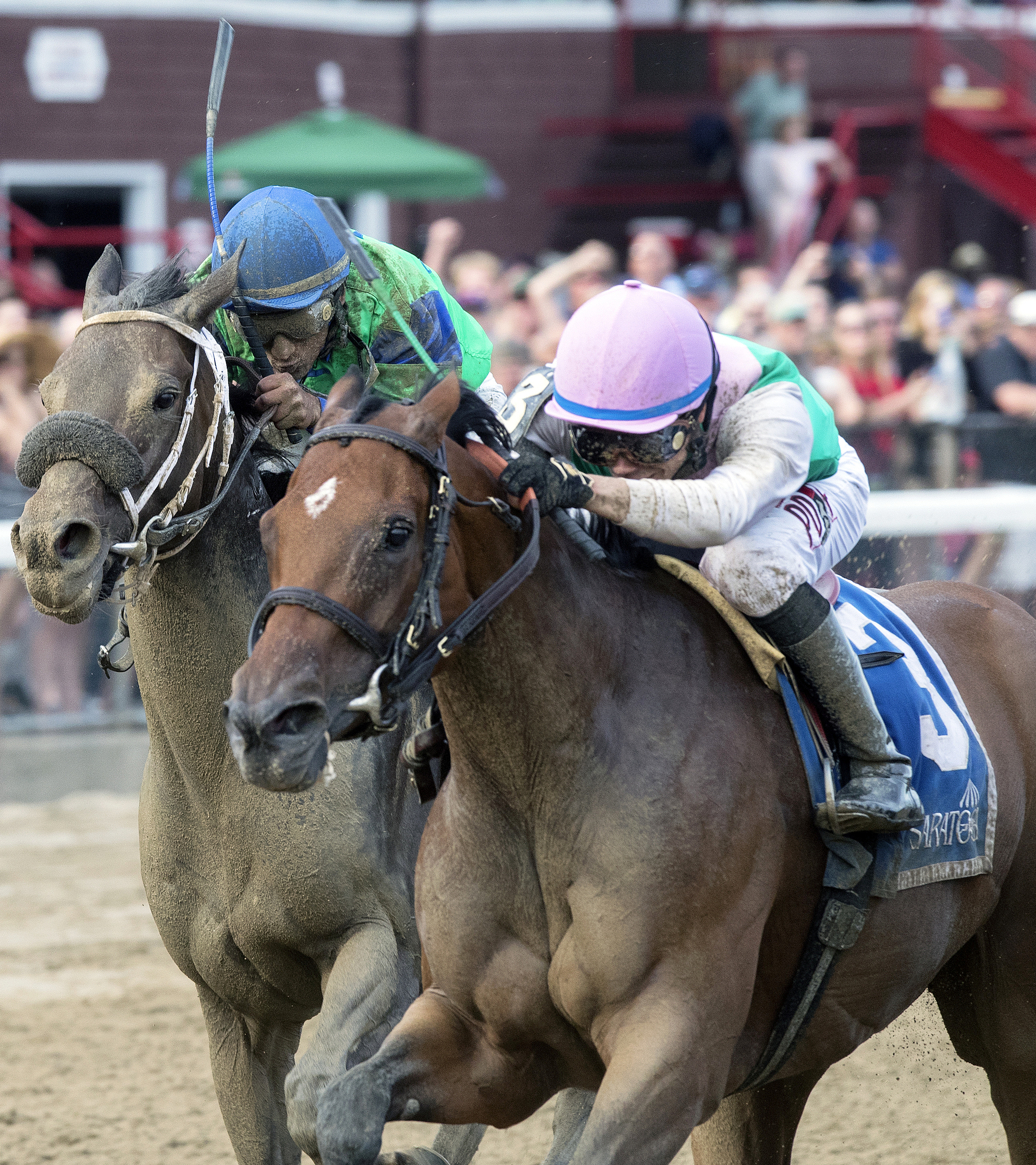 Paulassilverlining wins the 2017 Honorable Miss