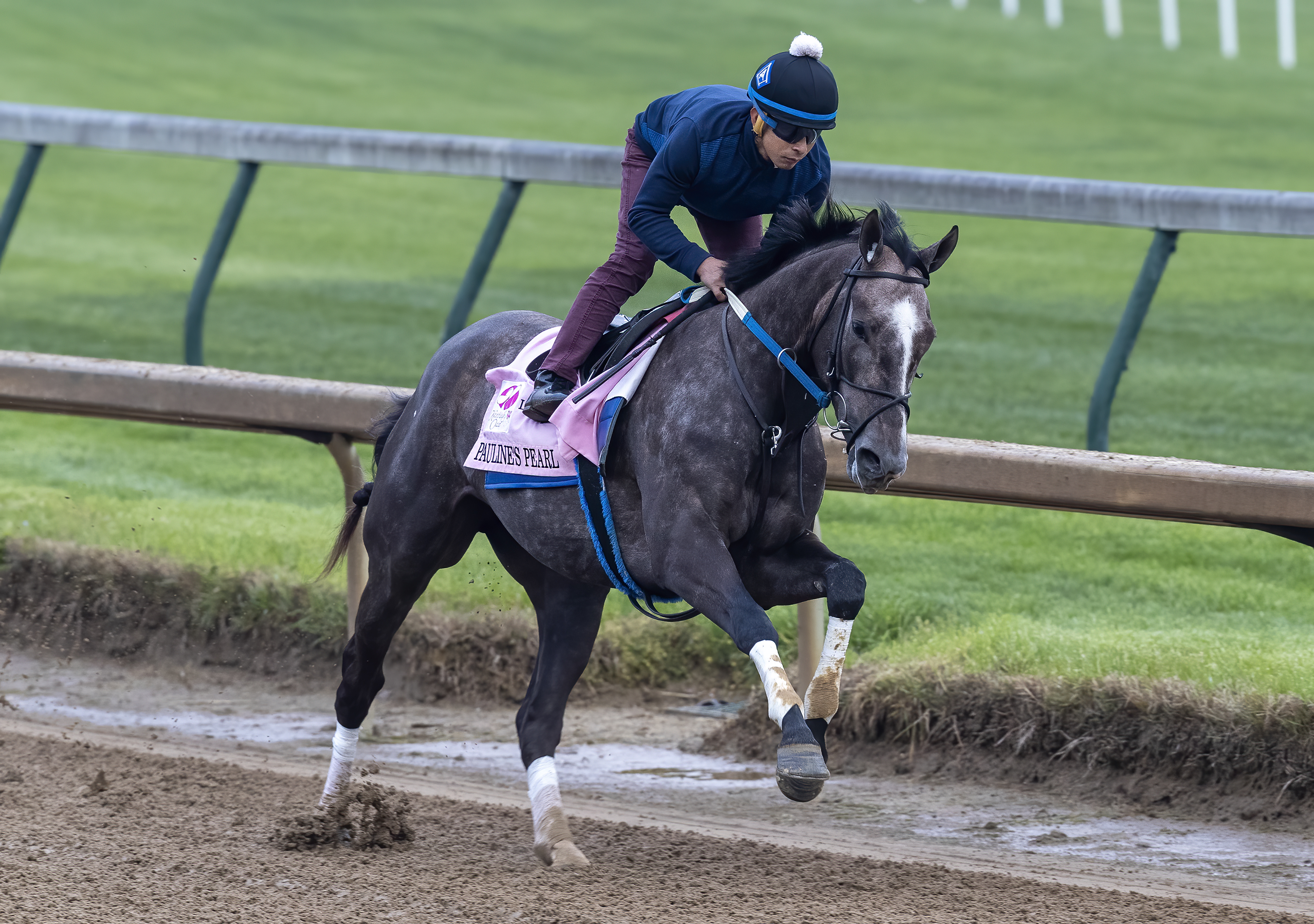 Pauline's Pearl works at Churchhill Downs 4-25-2021