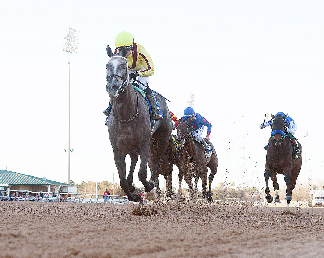 Pauline's Pearl wins the 2022 Houston Ladies Classic at Sam Houston Race Park