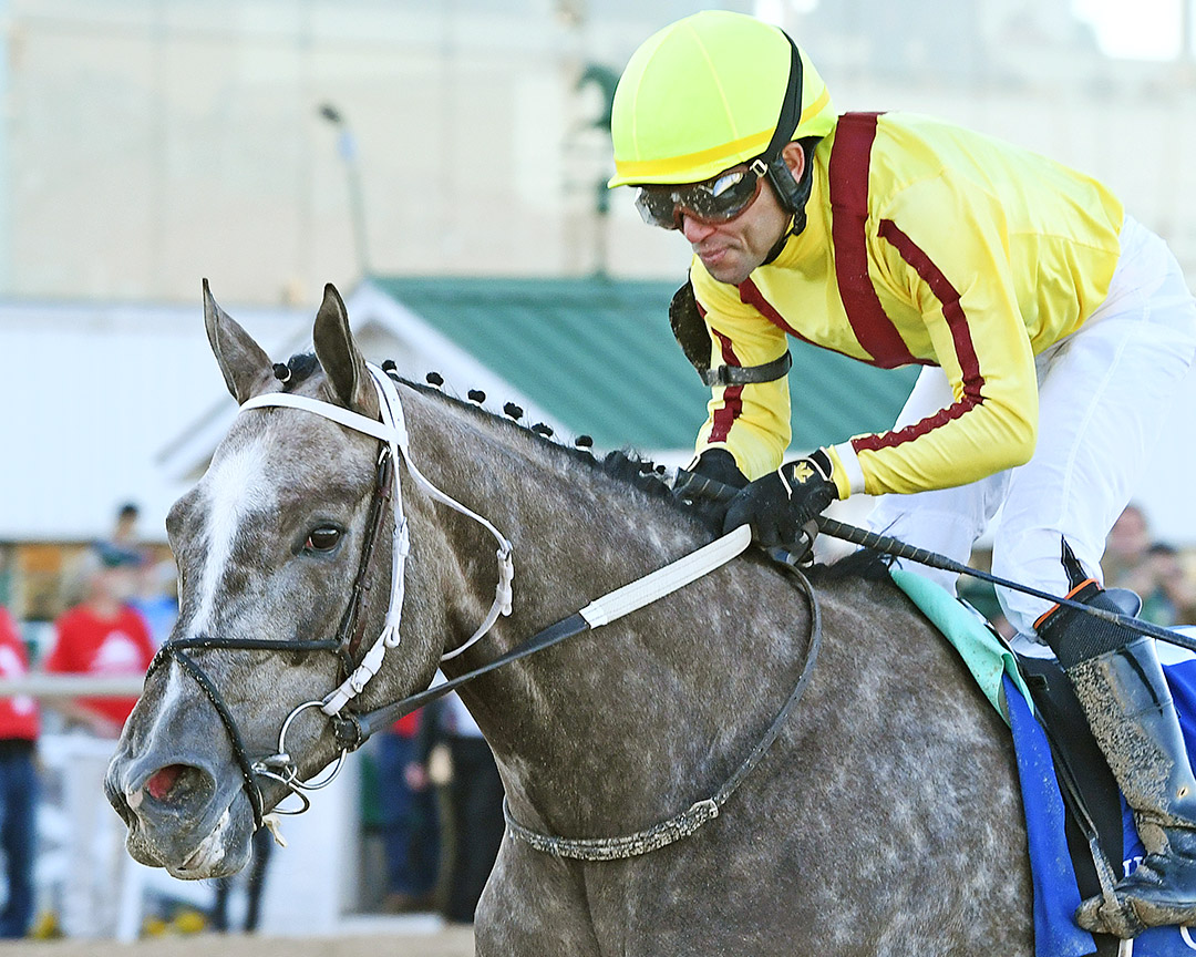 Pauline's Pearl wins the 2022 Houston Ladies Classic at Sam Houston Race Park