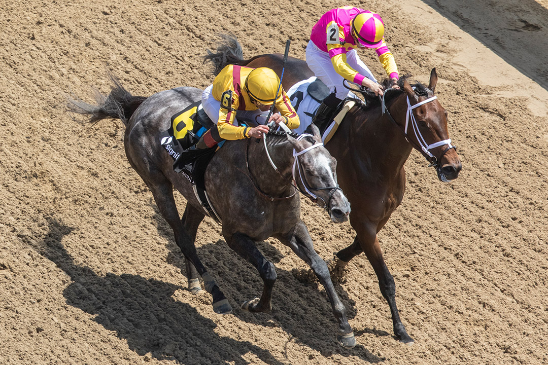 Pauline's Pearl (No. 6) wins the 2022 La Troienne Stakes at Churchill Downs