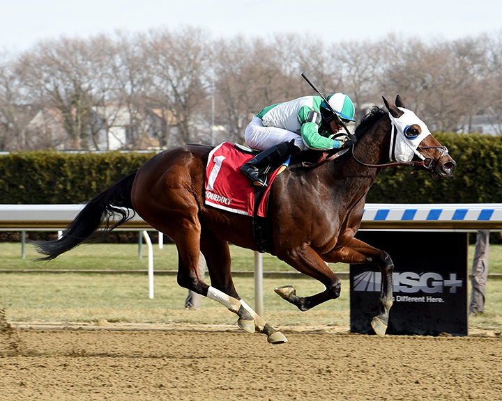 Pauseforthecause wins the 2019 Garland of Roses Stakes at Aqueduct Racetrack