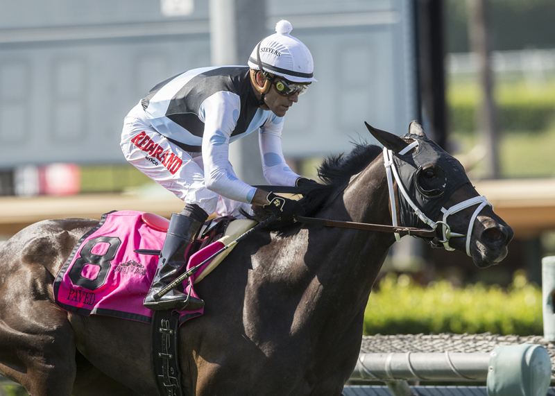 Paved wins 2018 Honeymoon