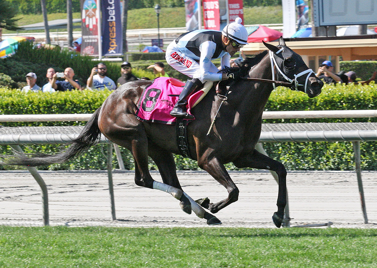 Paved wins the Honeymoon Stakes
