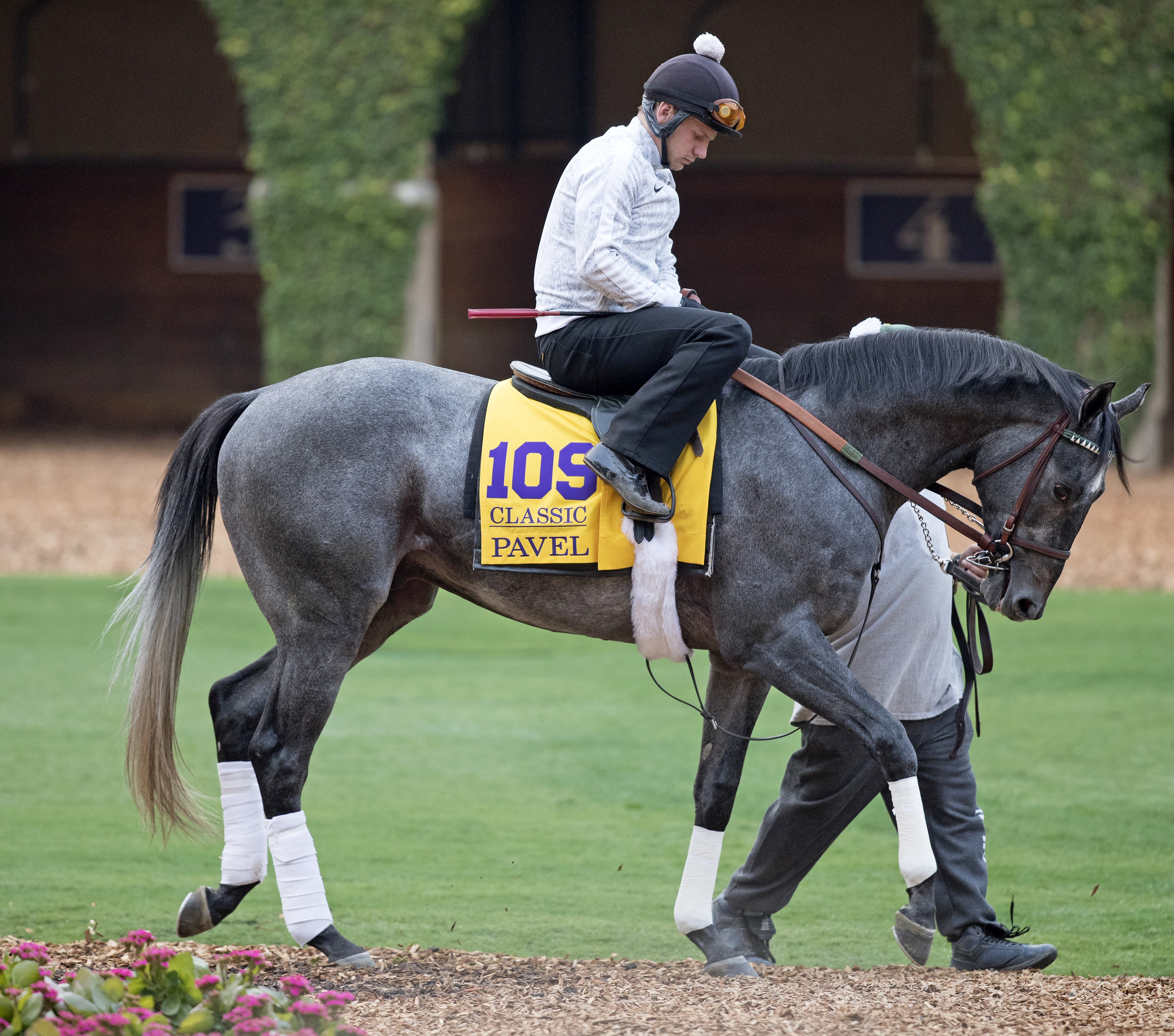 Pavel at Del Mar for the Breeders Cup in October 2017