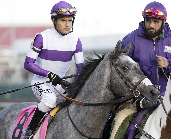 Pavel at the Breeders Cup Classic