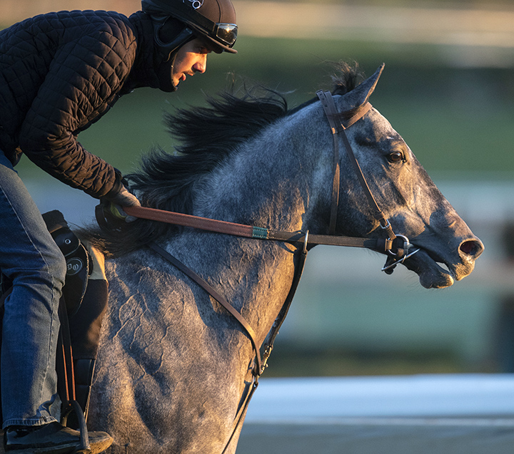 Pavel trains at Santa Anita in February