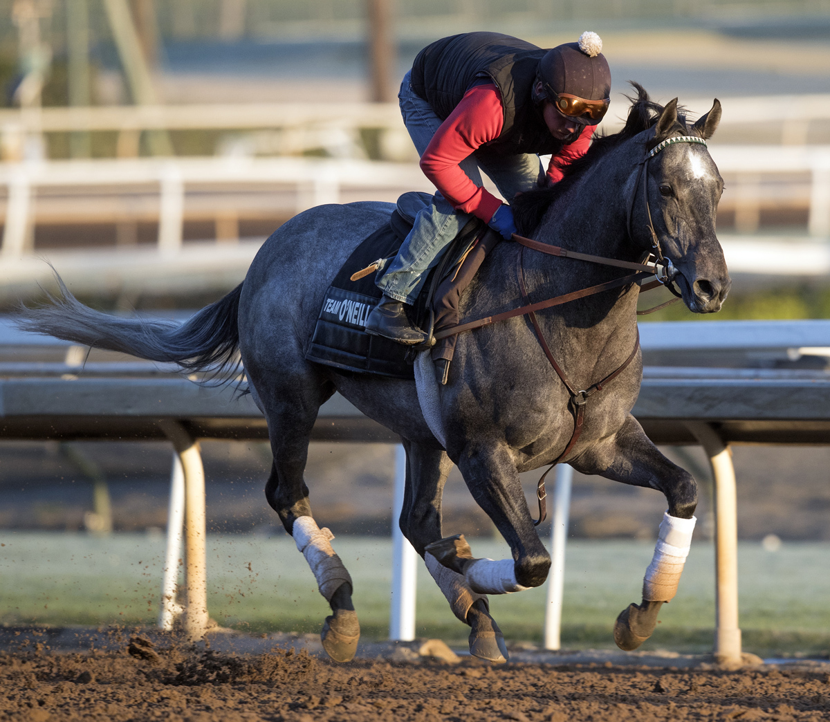 Pavel trains at Santa Anita on Feb. 28
