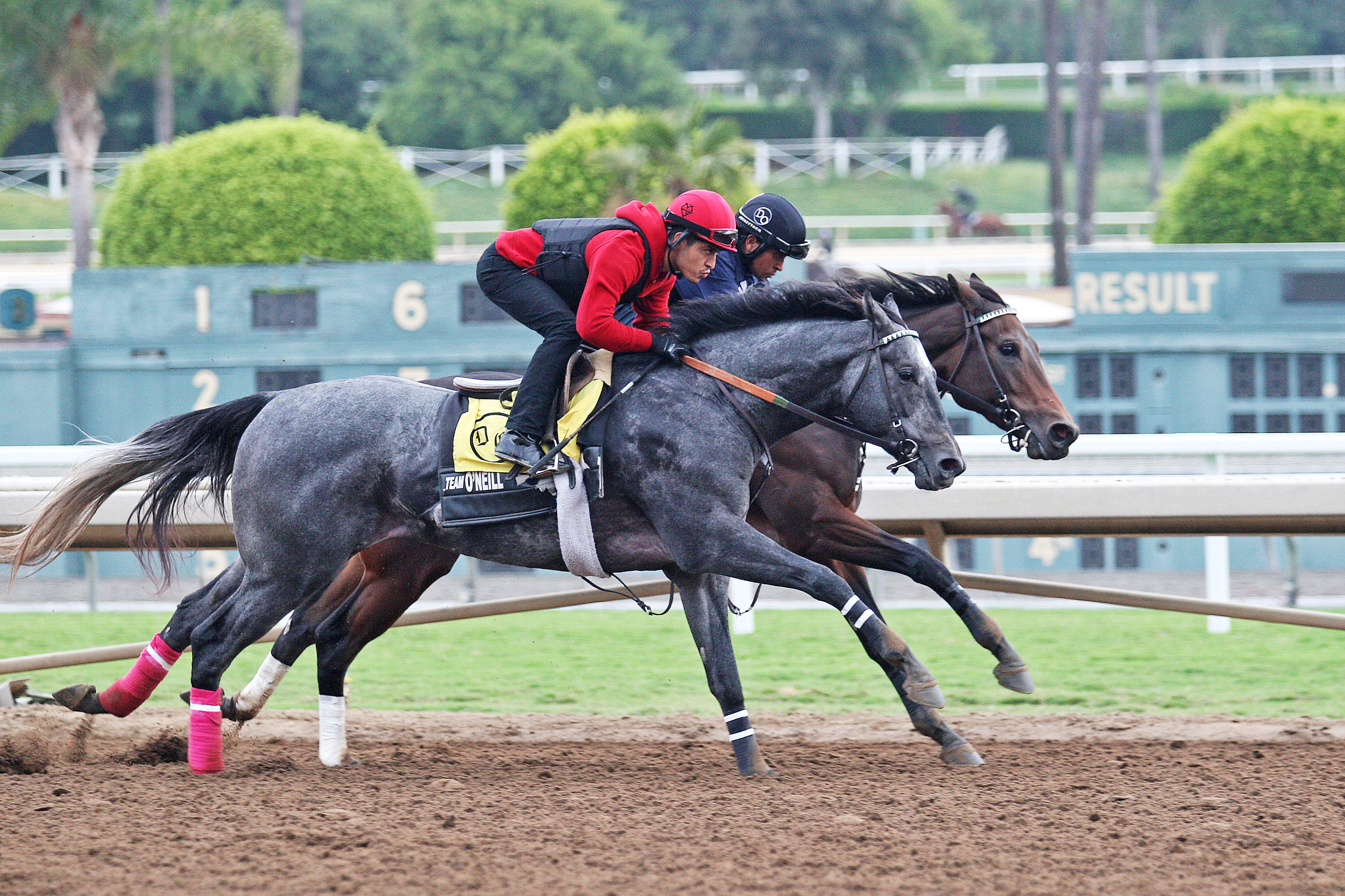 Pavel trains at Santa Anita on Oct. 20