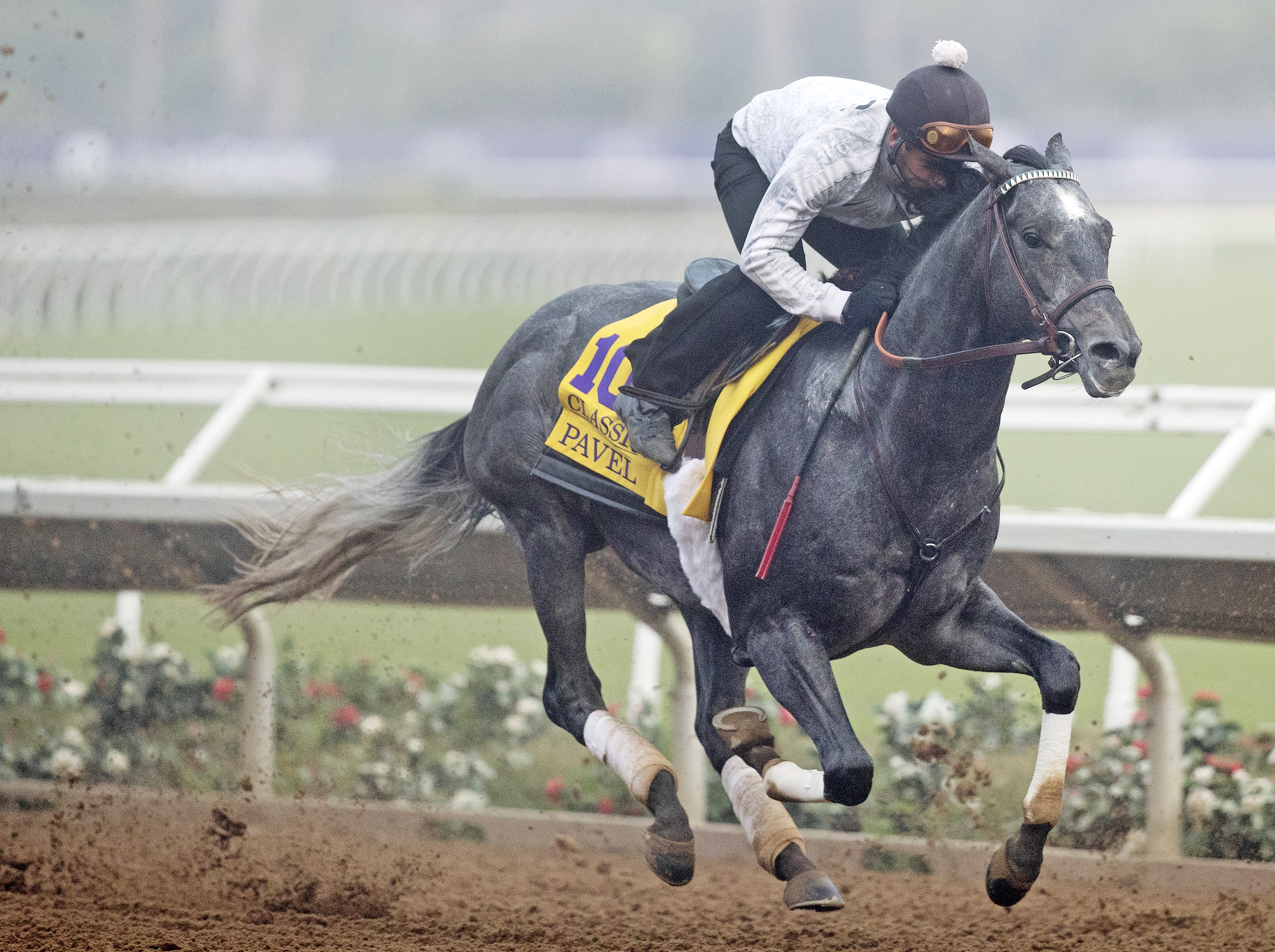 Pavel trains at Del Mar on Oct. 27