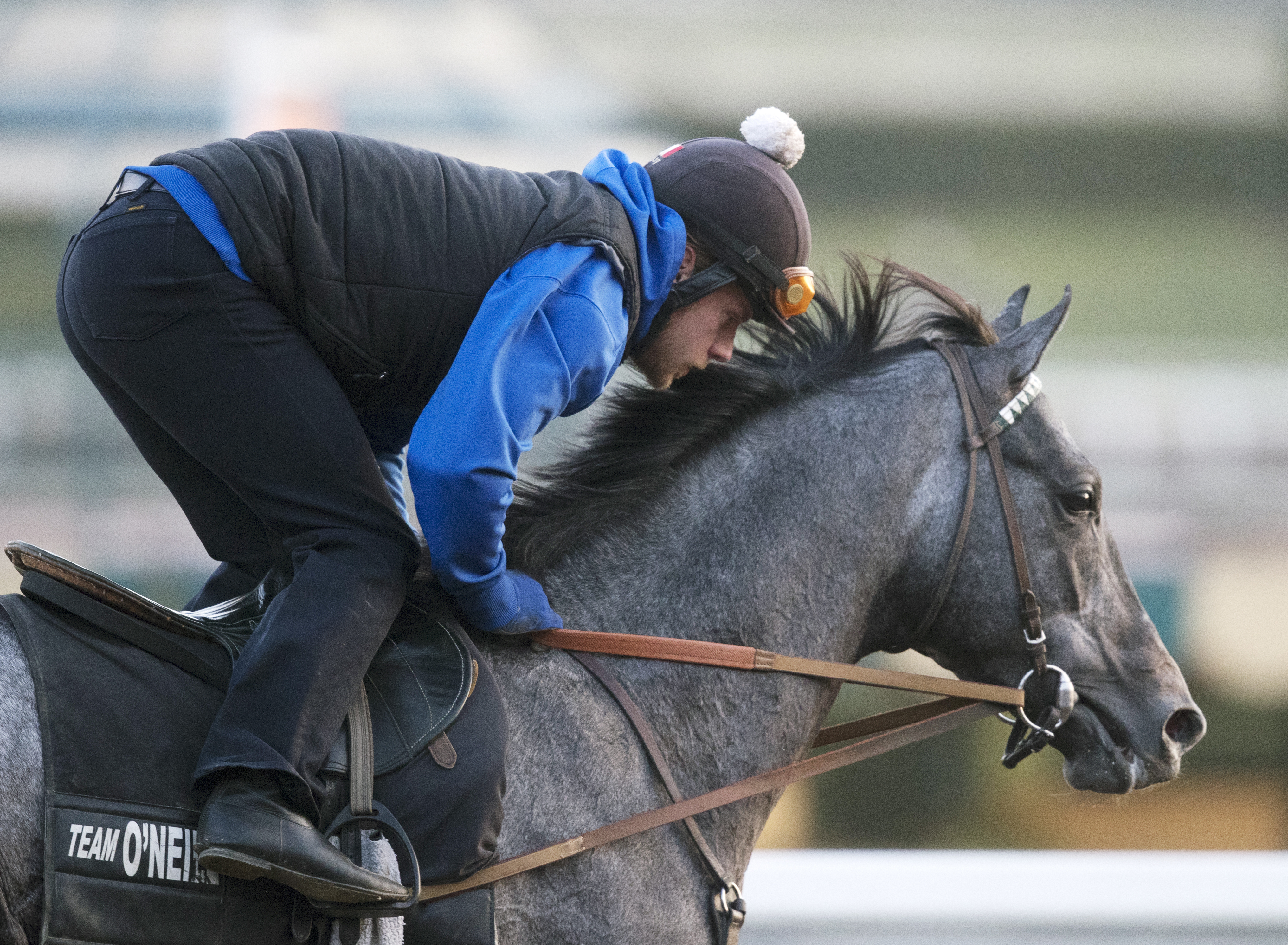 Pavel trains at Santa Anita on Feb. 22